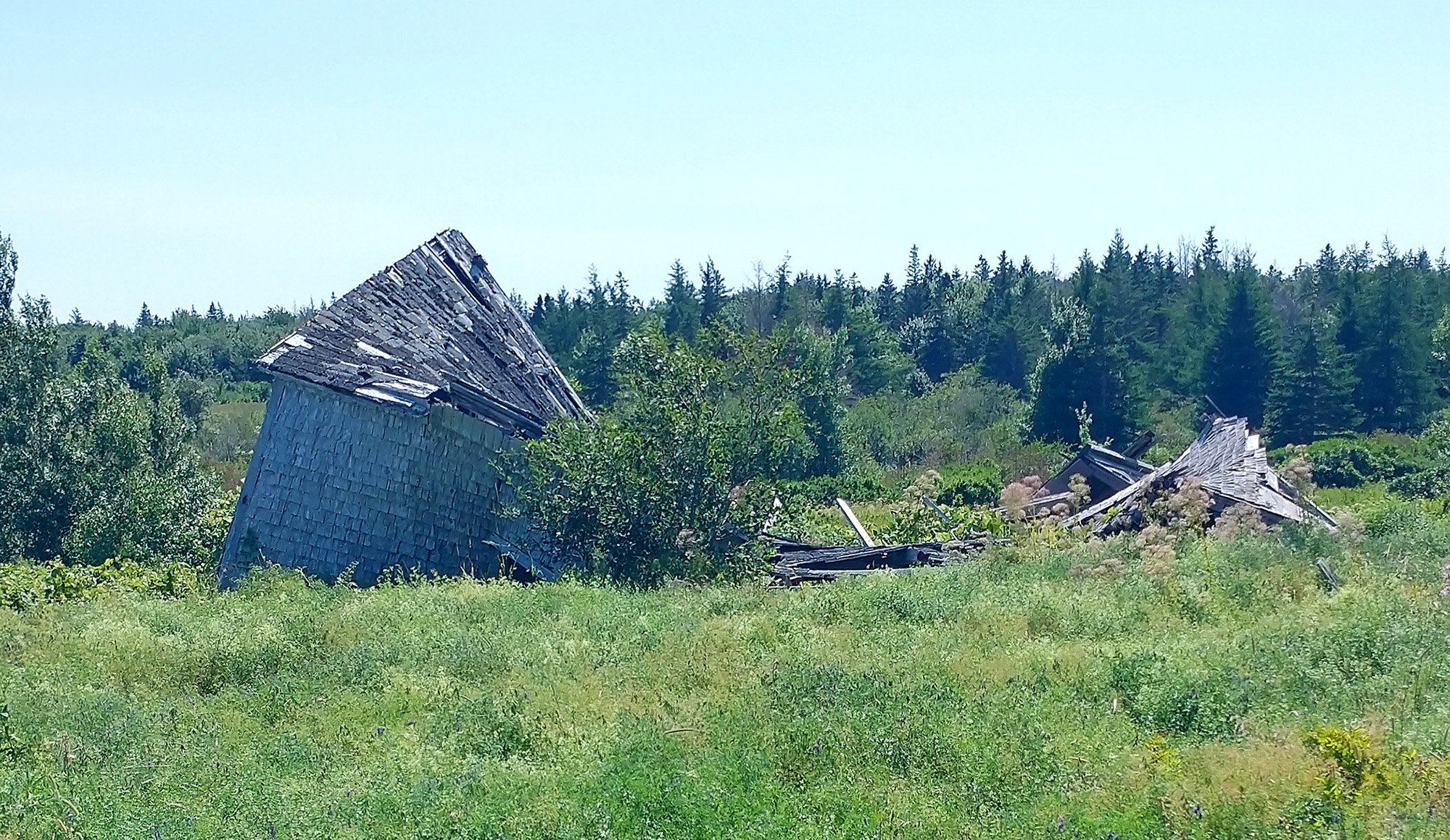 Don't forget the collapsed shack of the day!
