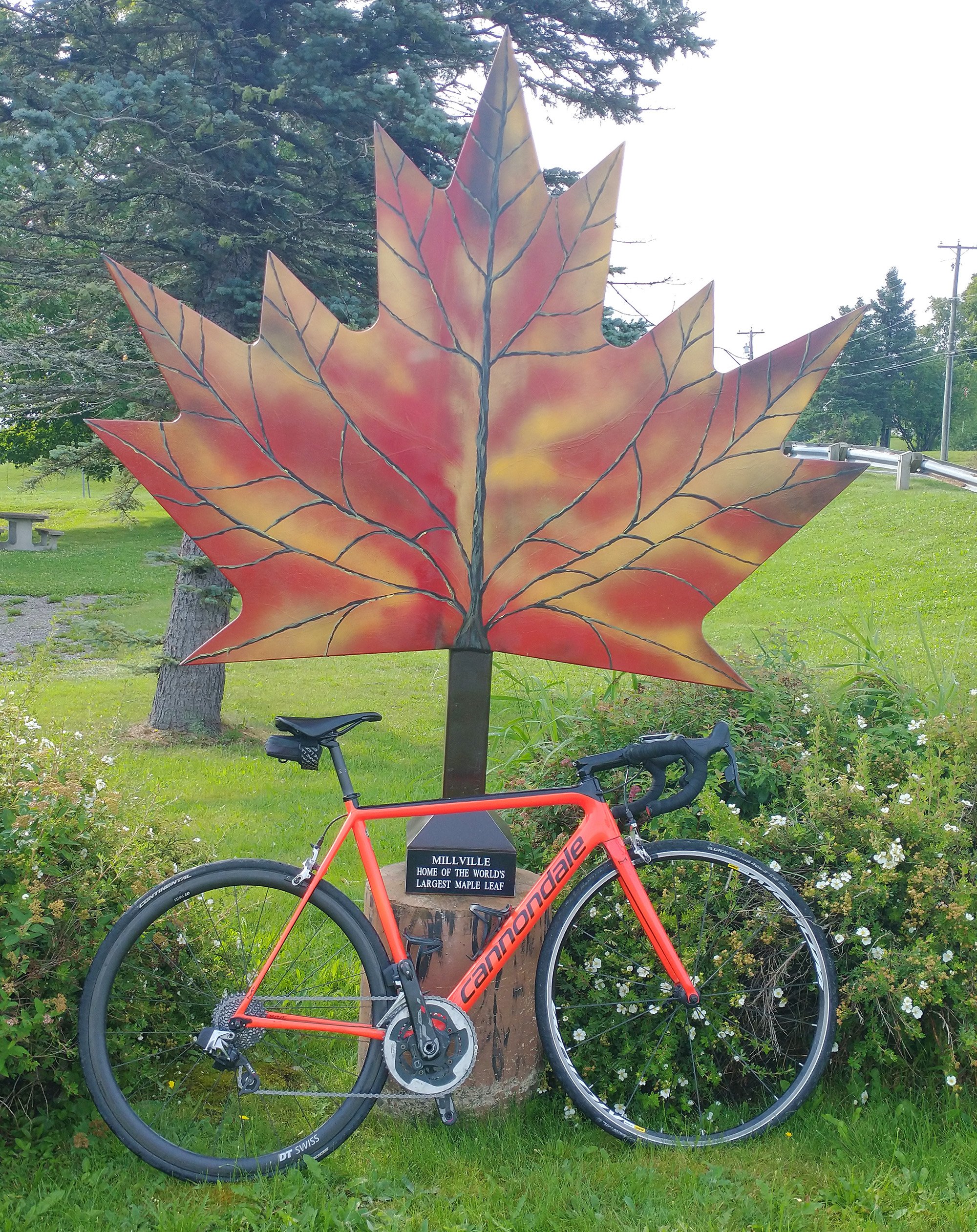 Well there you go, that's the biggest Maple Leaf in the world. I missed it while passing by the first time. Scammed.
