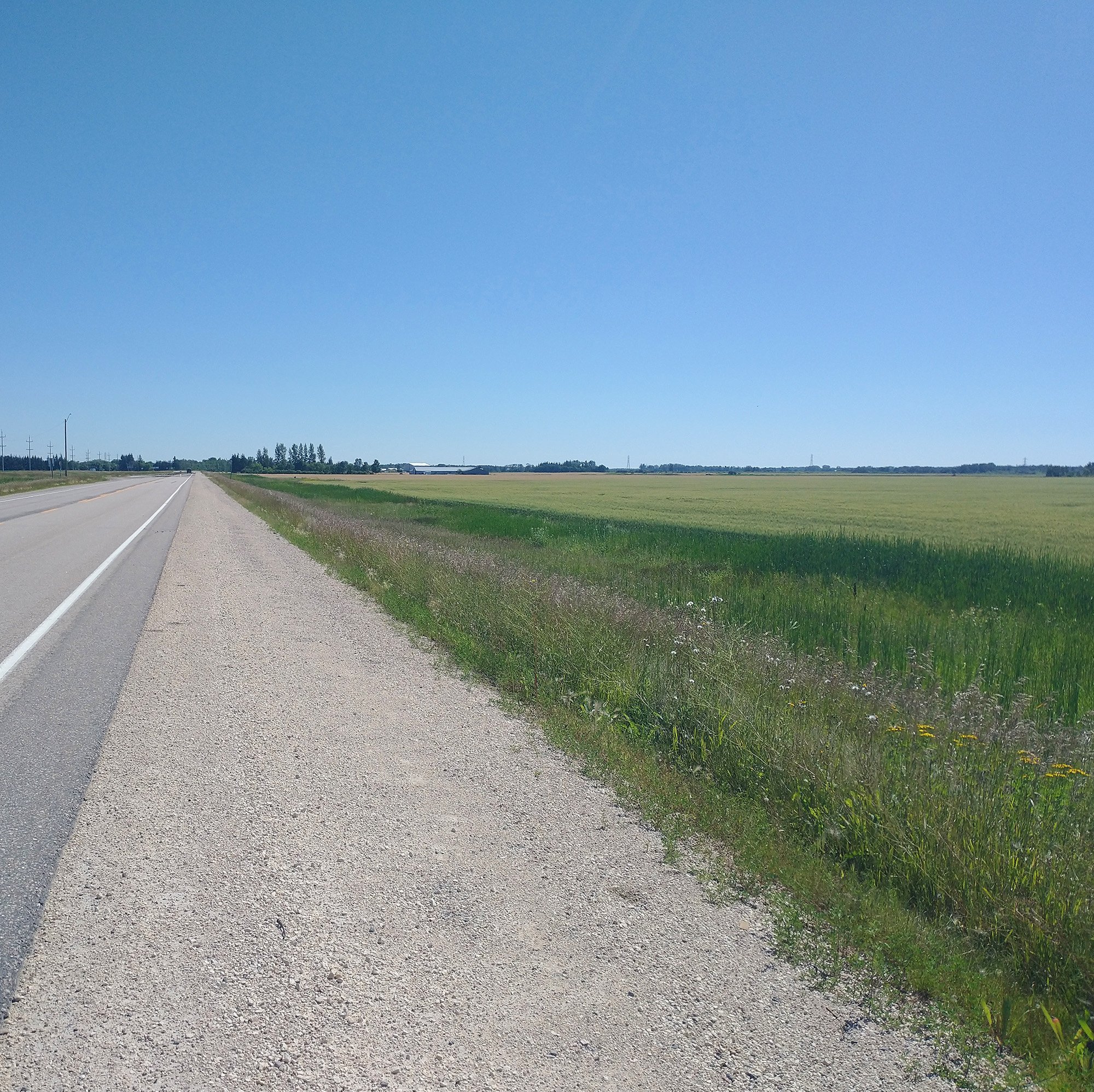 Outside the park you get the rural Manitoba look, which consists of endless flat green fields.
