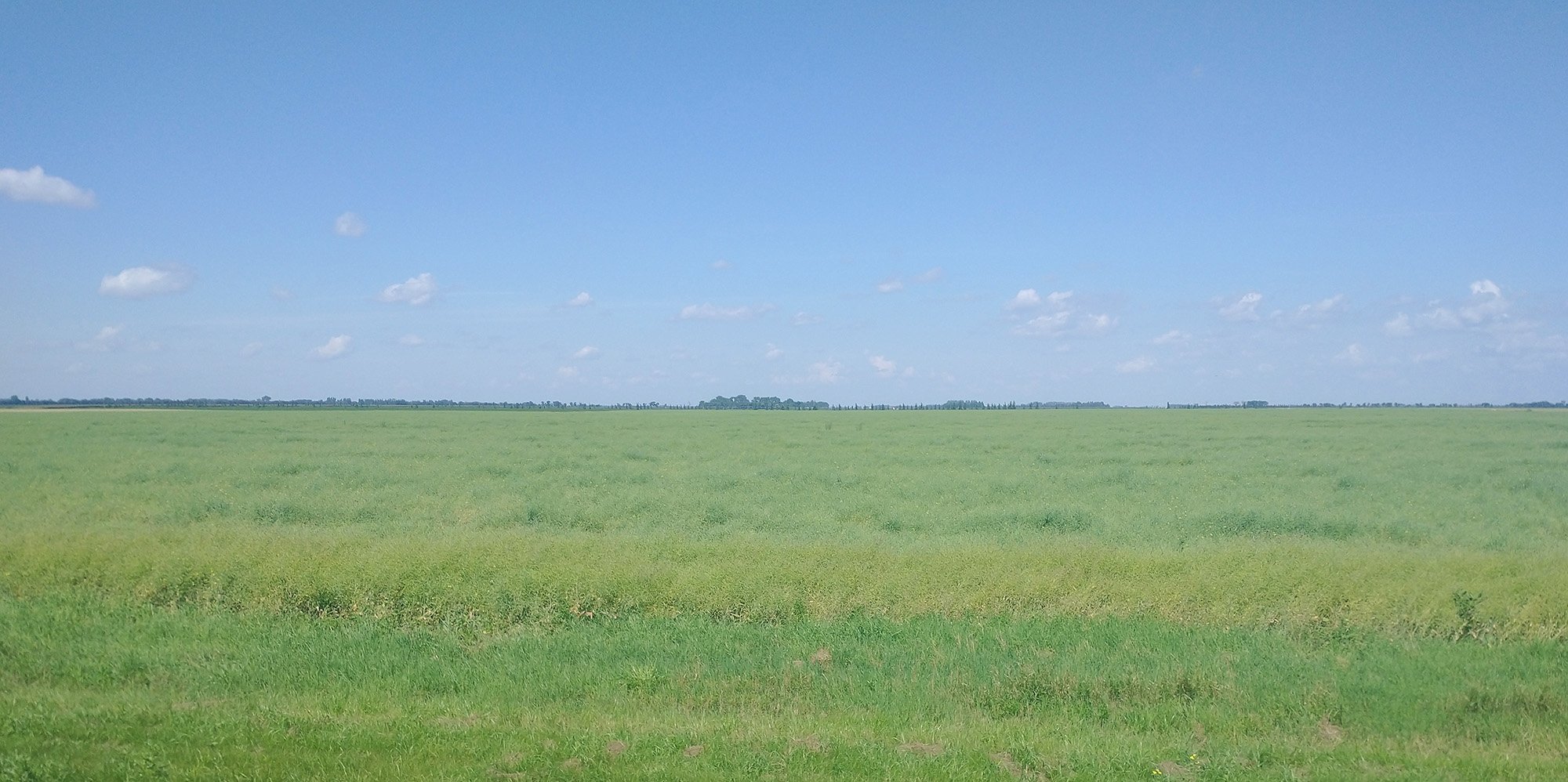 Now we begin our long windy rectangle ride... Typical Manitoba green fields all around. 