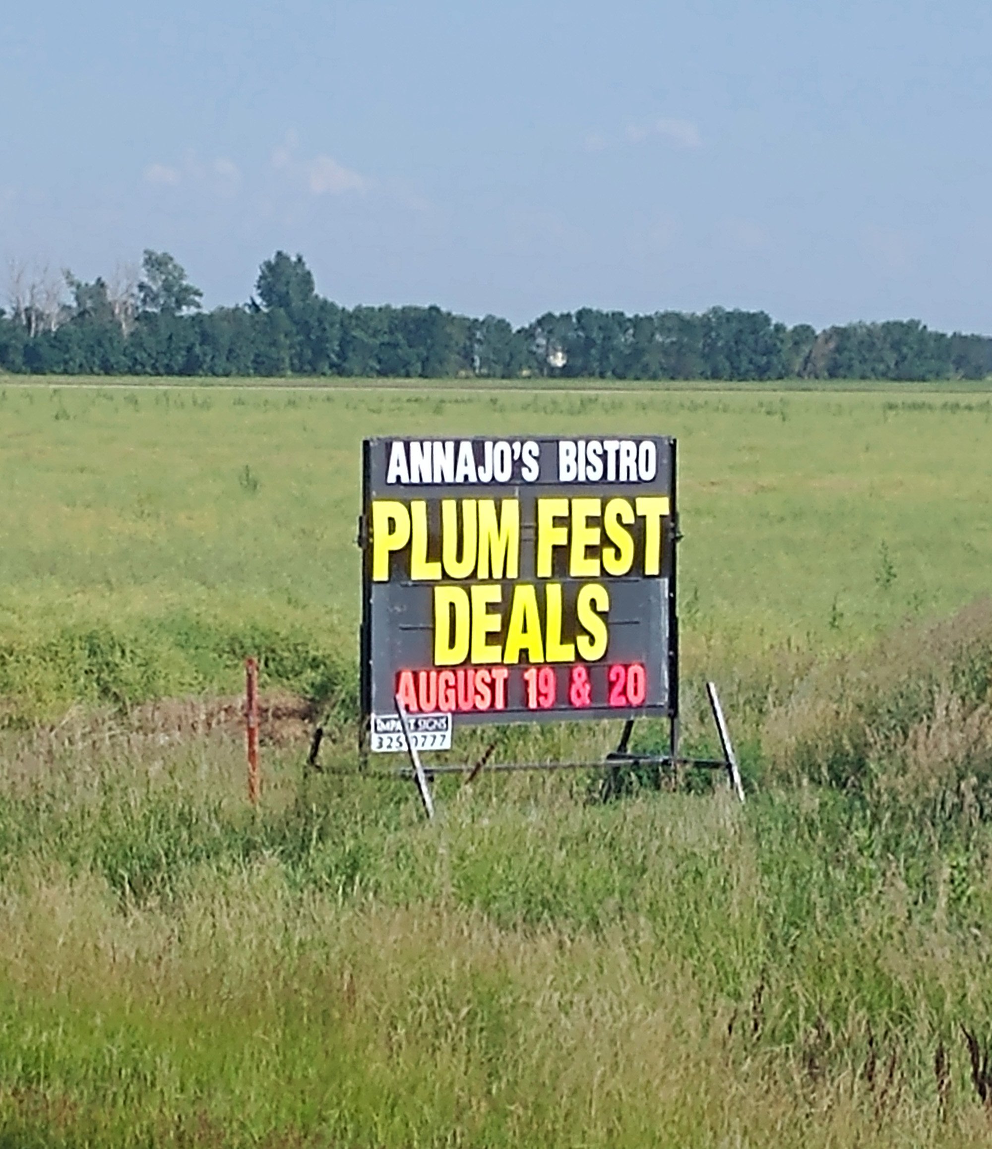 Shit, plum fest. Next year.
