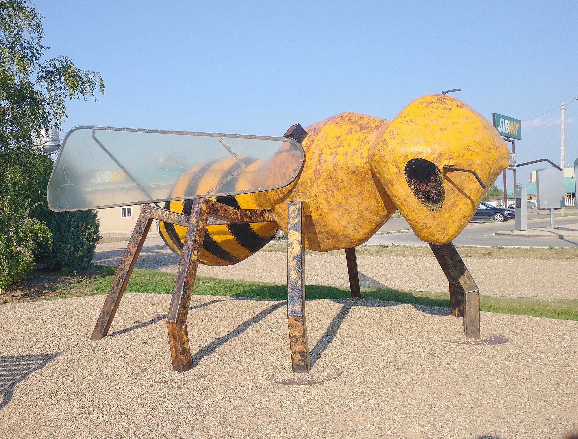 So this is the largest HONEY bee, because there's a largest BEE in Alberta.