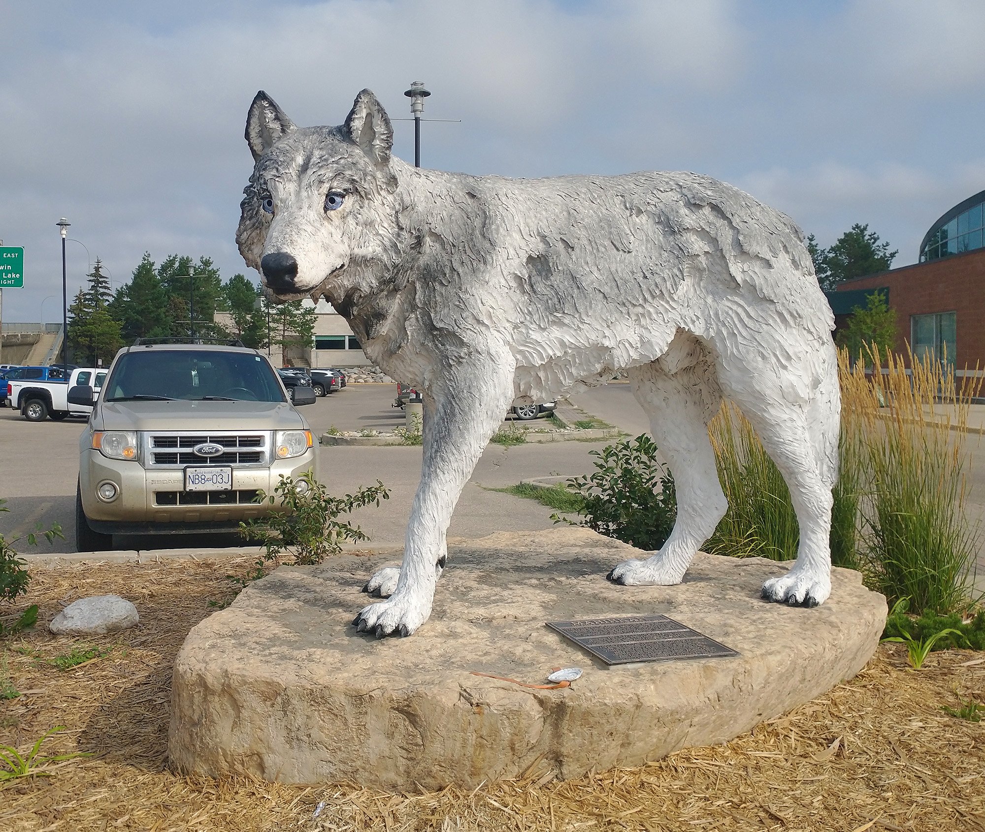 Big wolf statue in Prince Albert, the city I stayed at the previous night.