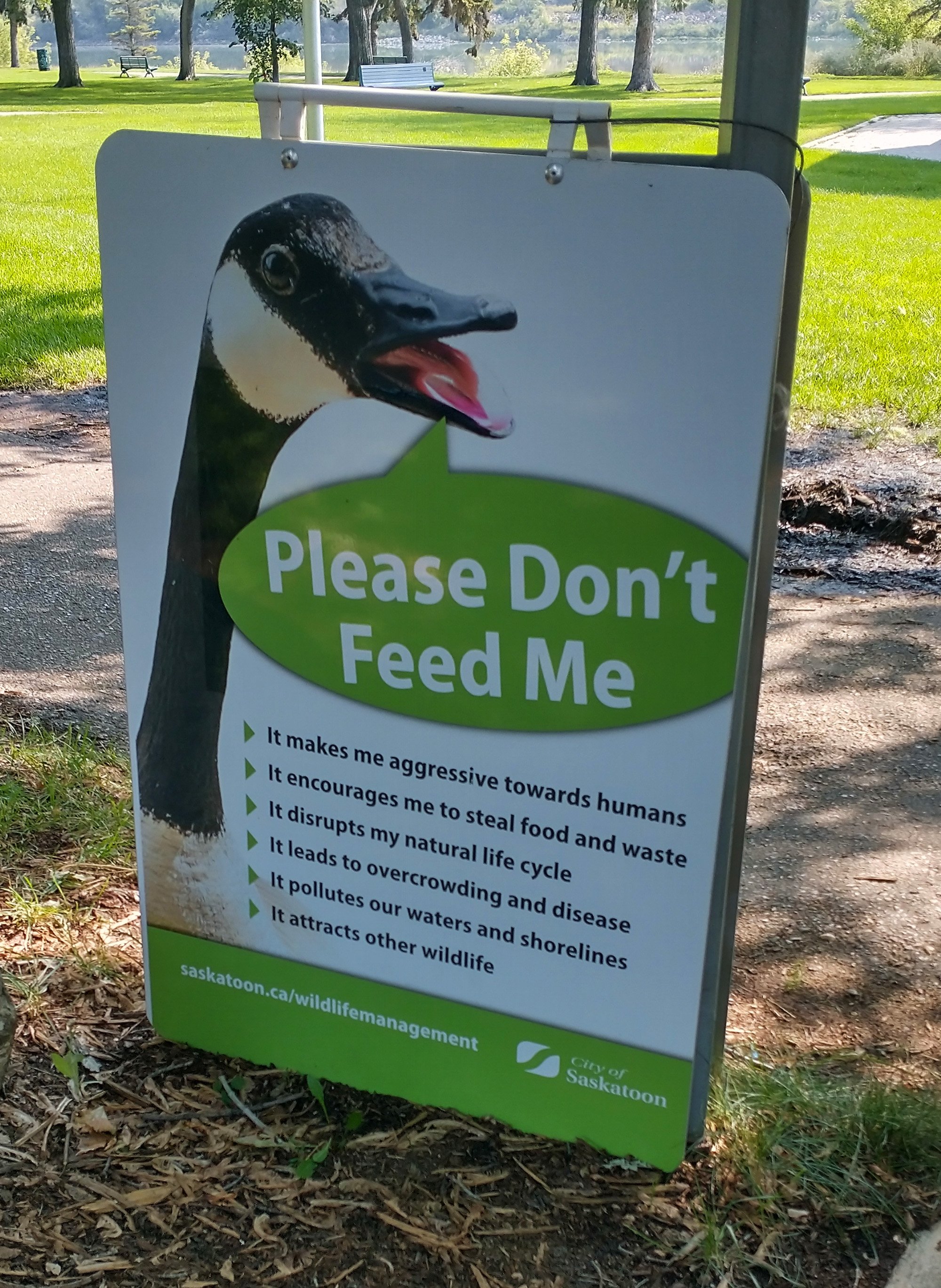 Don't feed them, eat them.