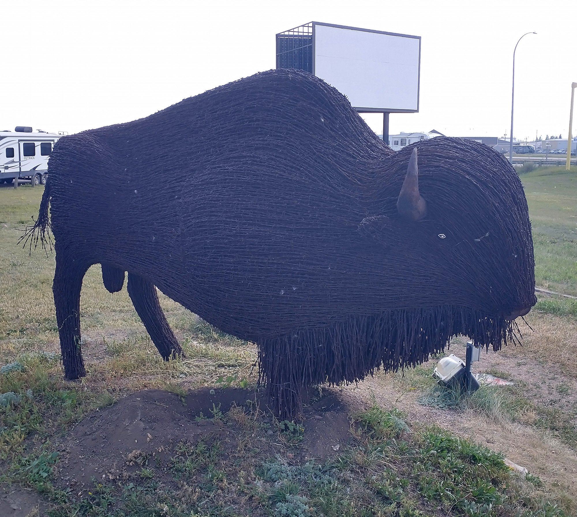 They have a little wire bison there as well.