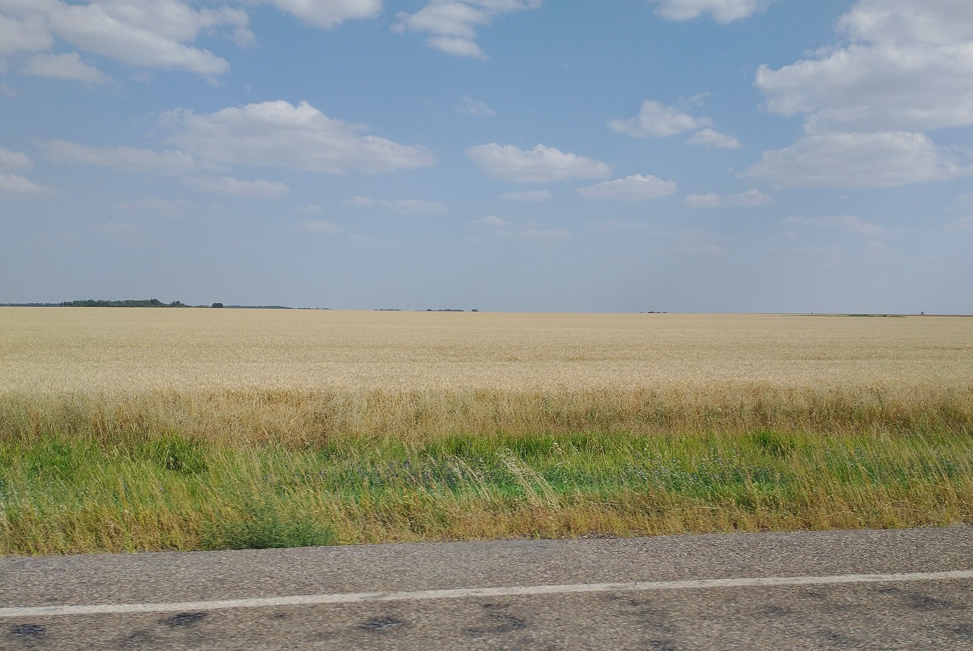 This is as representative of Saskatchewan as I can get. Blue skies, flat, yellow fields.