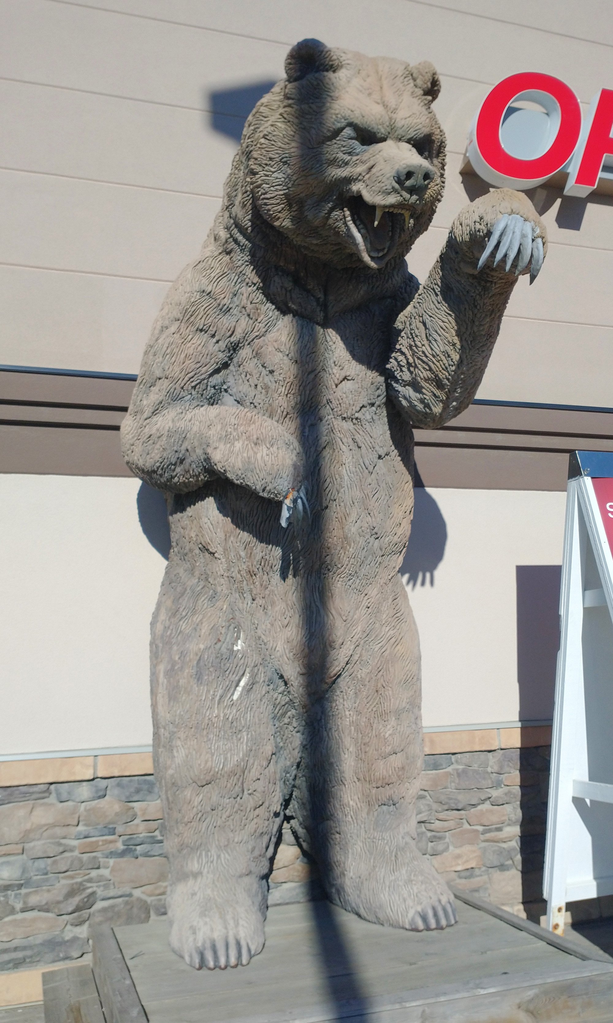 The grocery store there has this badass 7 foot tall Grizzly.