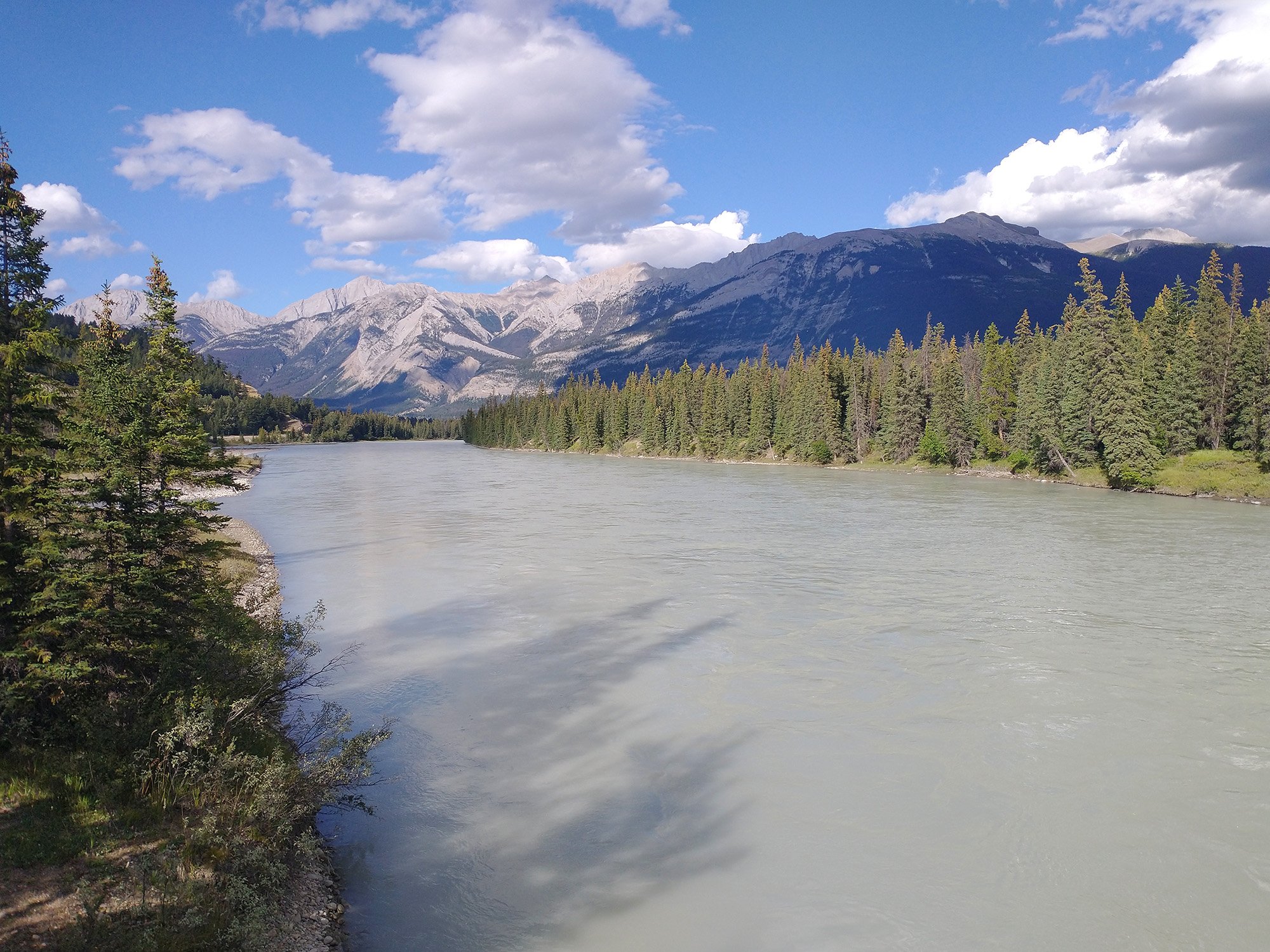 Then cross the Athabasca river, which has this blueish grey tint to it. It flows for hundreds of kms through the rockies.