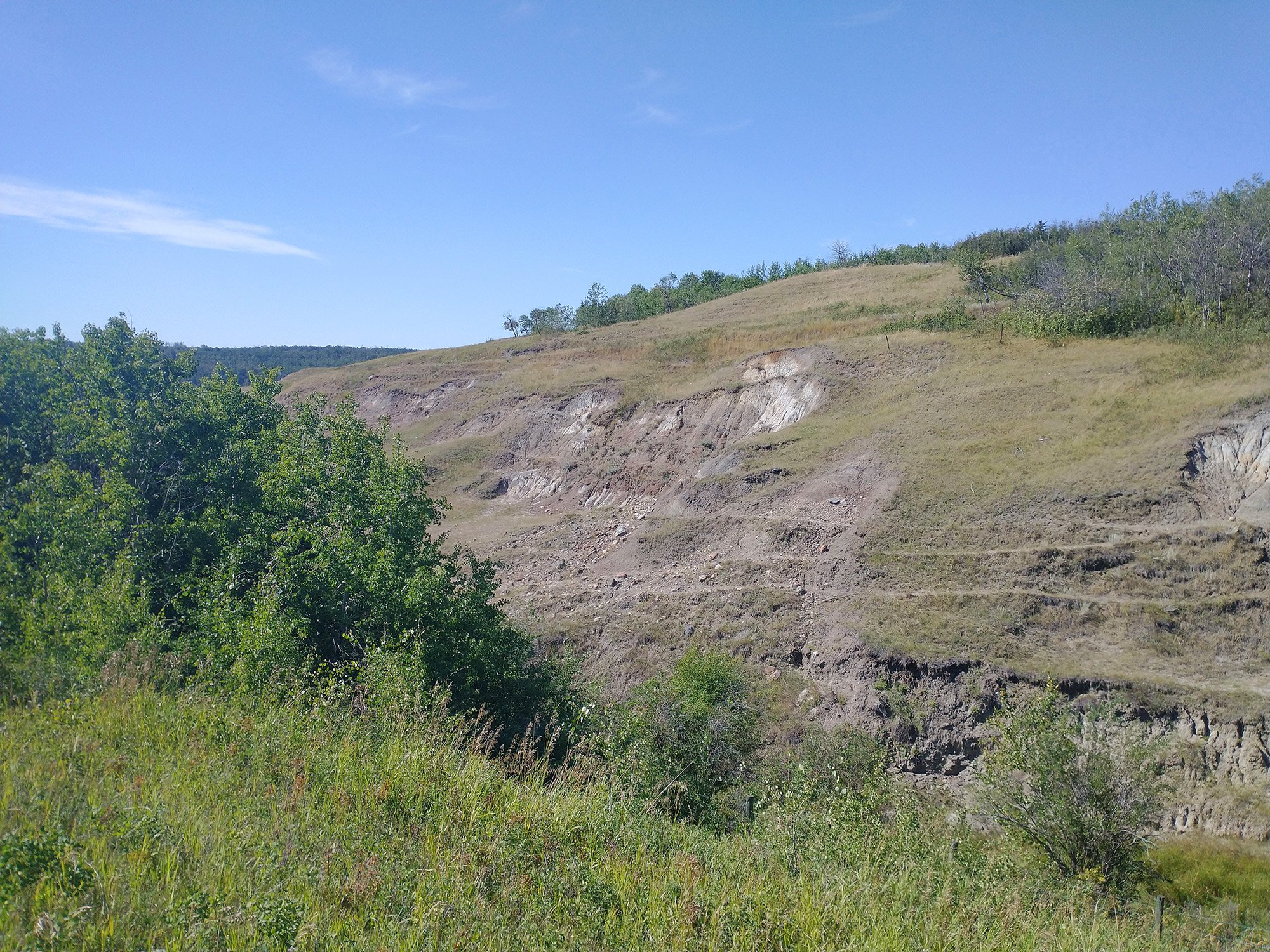 Tiny bit of Badland-ness. Yeah this ain't no Drumheller.