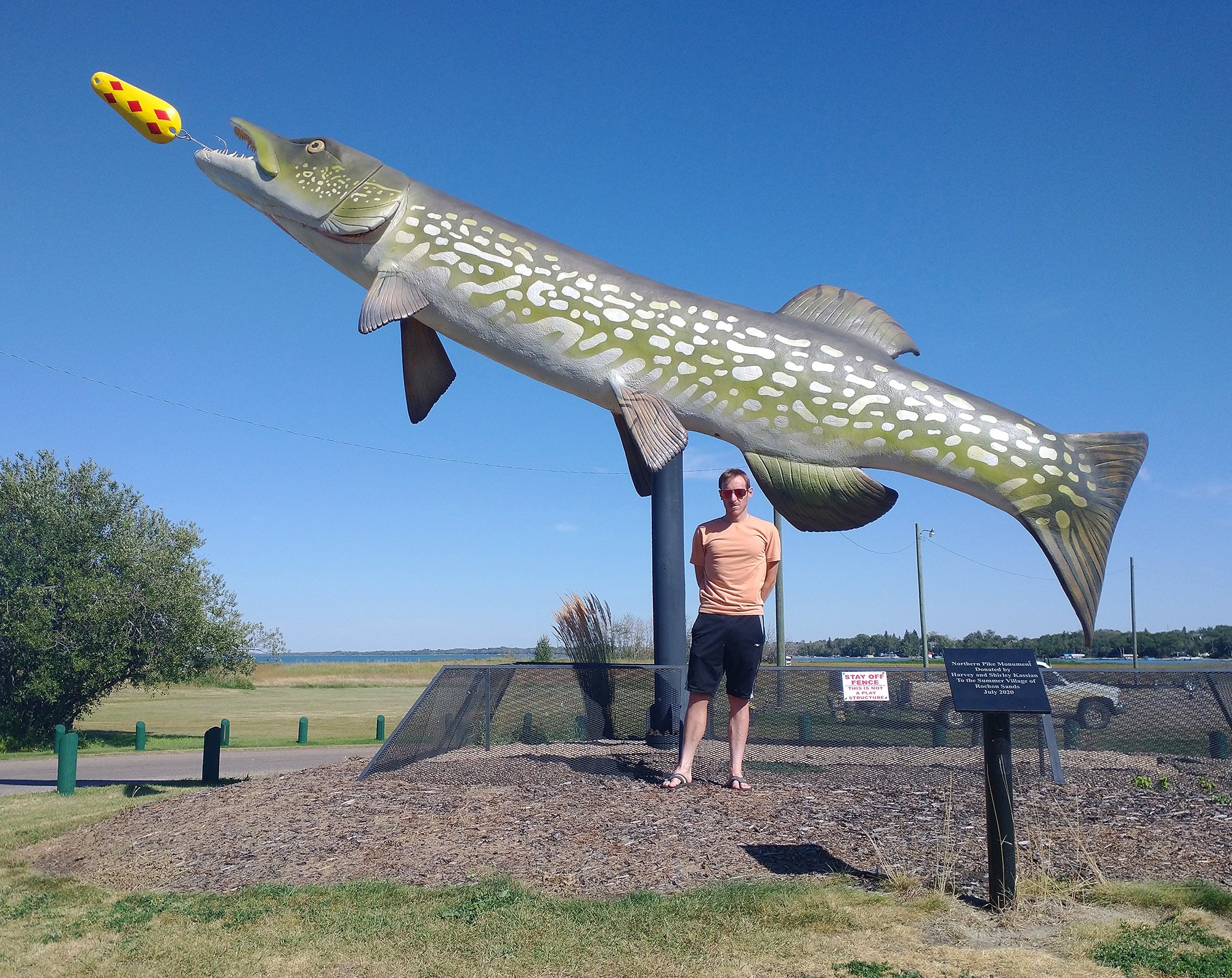 Biggest Pike in Rochon Sands. It's a fishing/camping town on the surprisingly large Buffalo Lake.