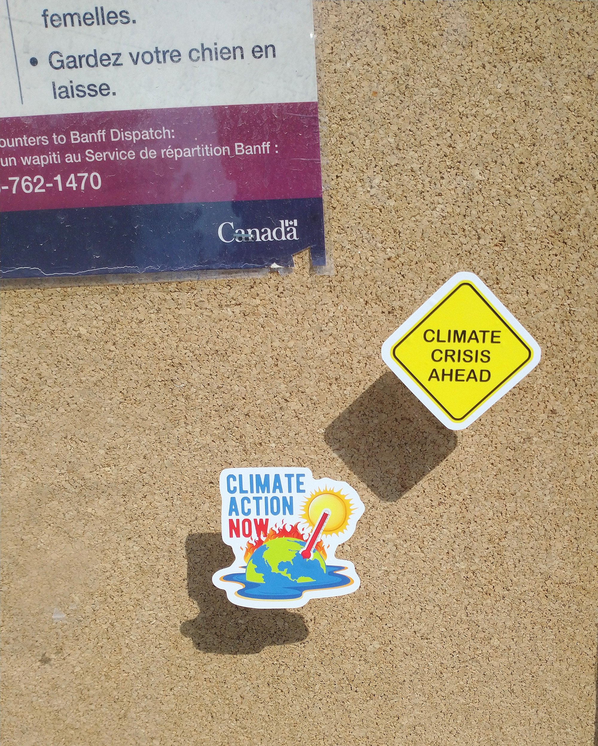 Fight climate change by flying out to Banff and putting little stickers on stuff! 