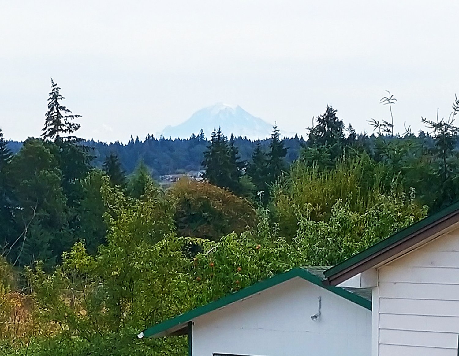 Mount Baker ( I think ) poking out in the distance. 