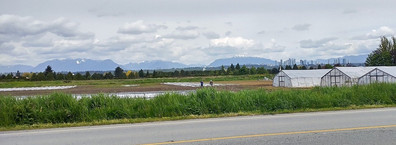 Starting out in Richmond, you can see the North Vancouver's 3 peaks in the distance. 