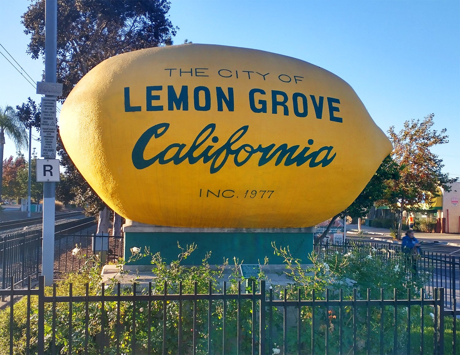 Arriving in San Diego: The largest lemon! I think.