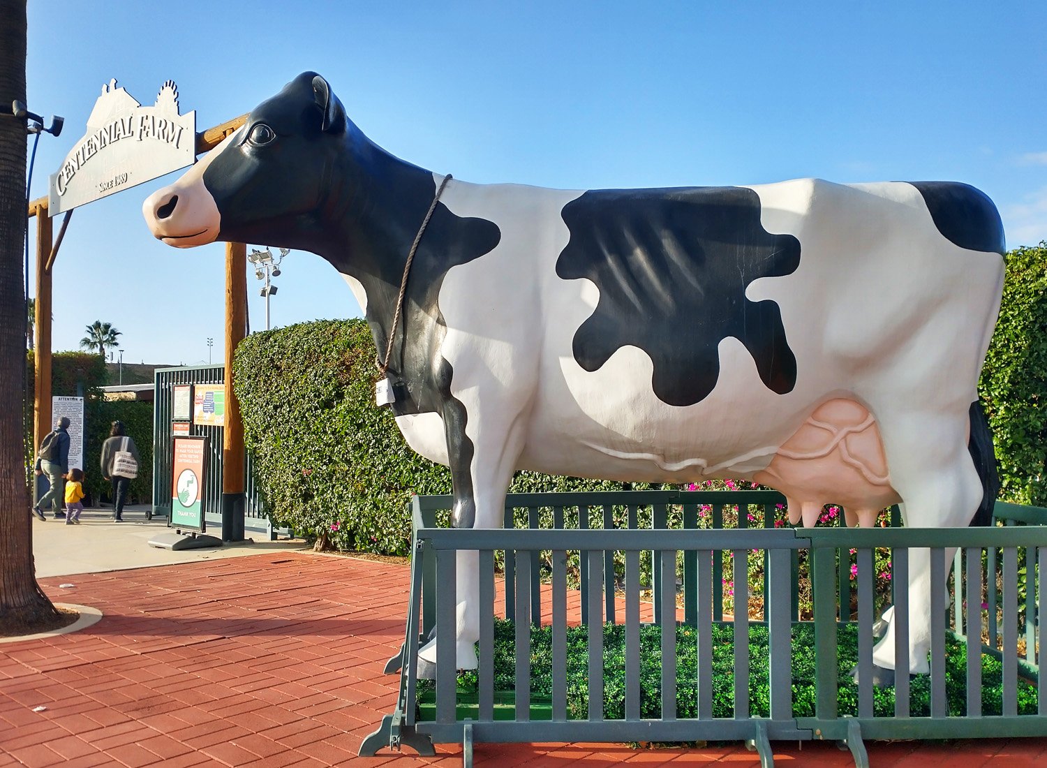 Then this giant cow, instead of the promised Cannibalistic Hot Dog that is on closed fairgrounds. Gotta watch RoadsideAmerica they keep sending people to inaccessible things.