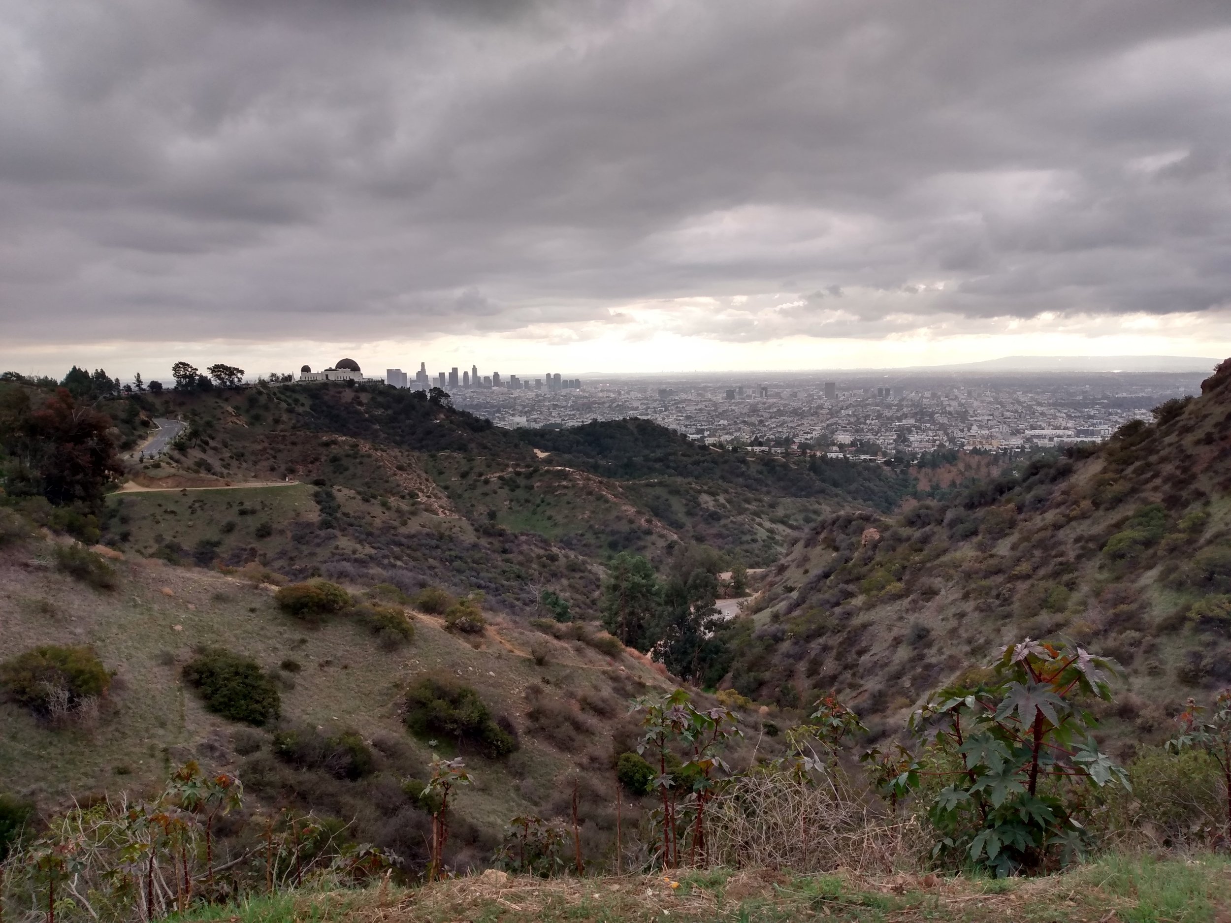 Griffith Park observatory here. Once again a cloudy/wet day. #CaliforniaLies