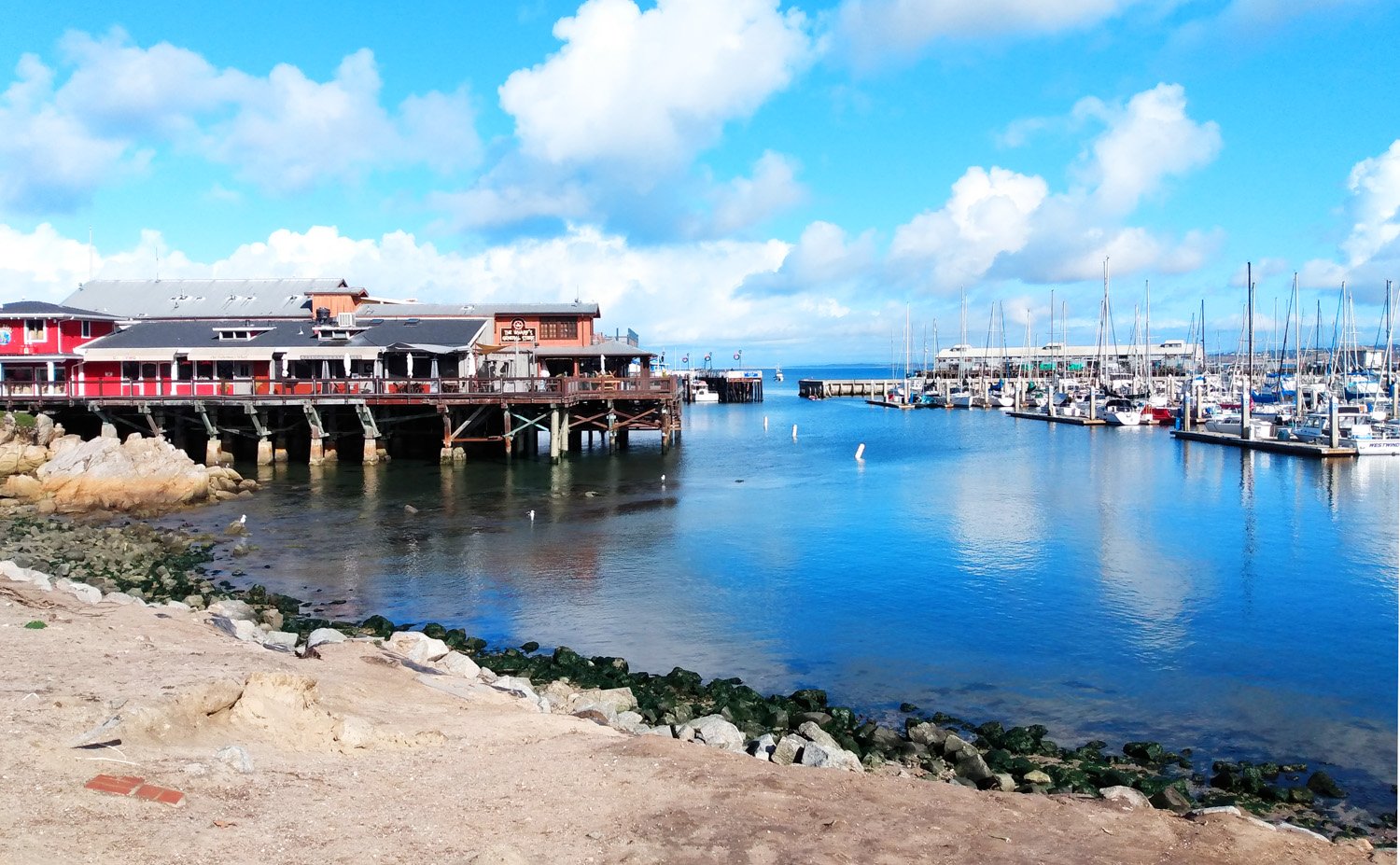 Monterey is a bougie area near the ocean with a great Aquarium and some wildlife watching excursions. 
