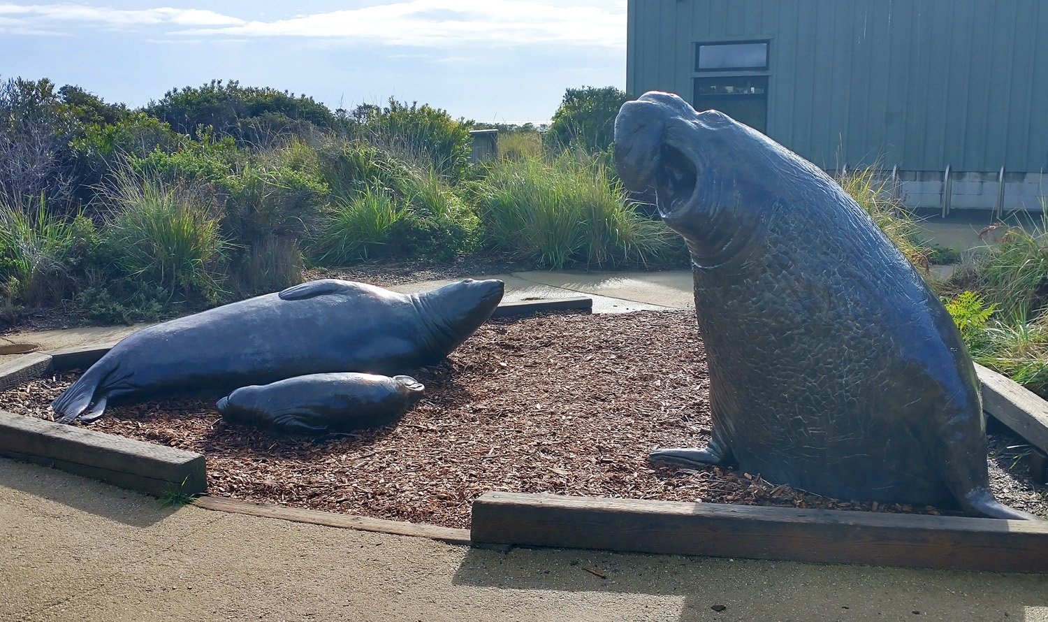 Elephant seal statues.