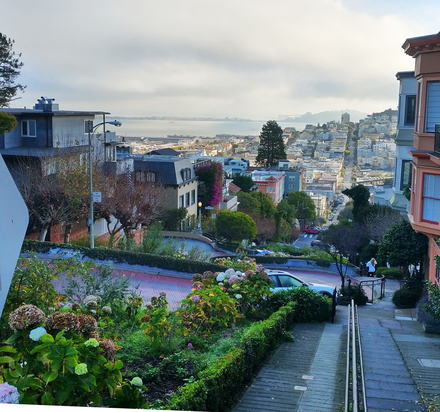 My garbage visit to Lombard street. Enjoy this picture from the top...?