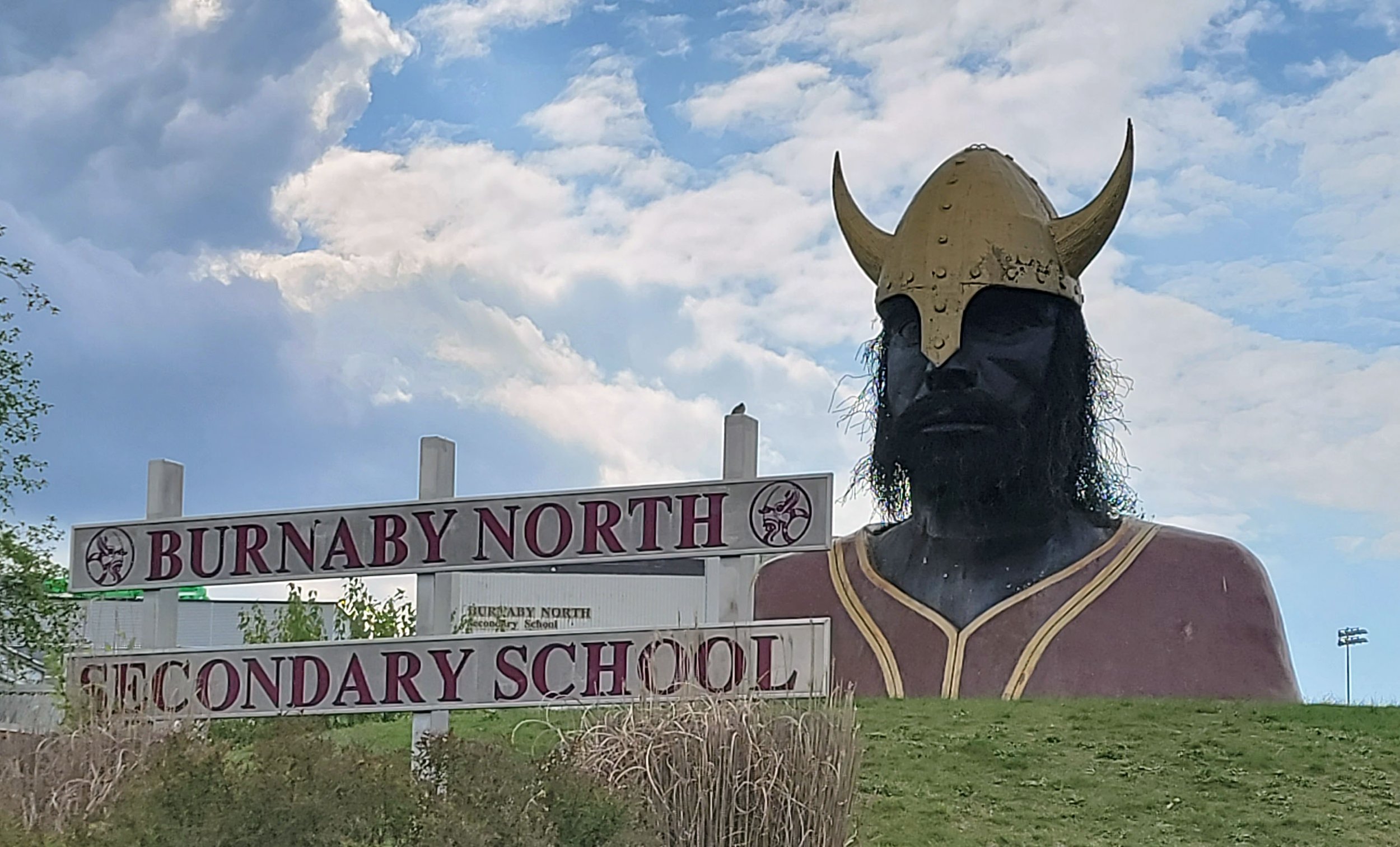 This school's got a giant Chuck Norris viking mascot, what did yours have? A little sign? Huh? 