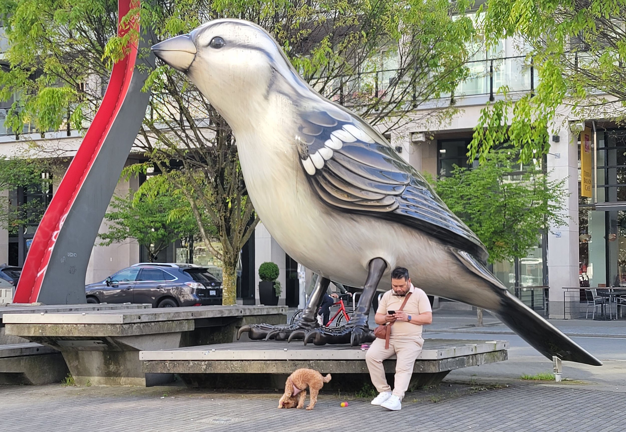 "The Birds" sculpture, downtown, depicting a pair of huge house sparrows. 
