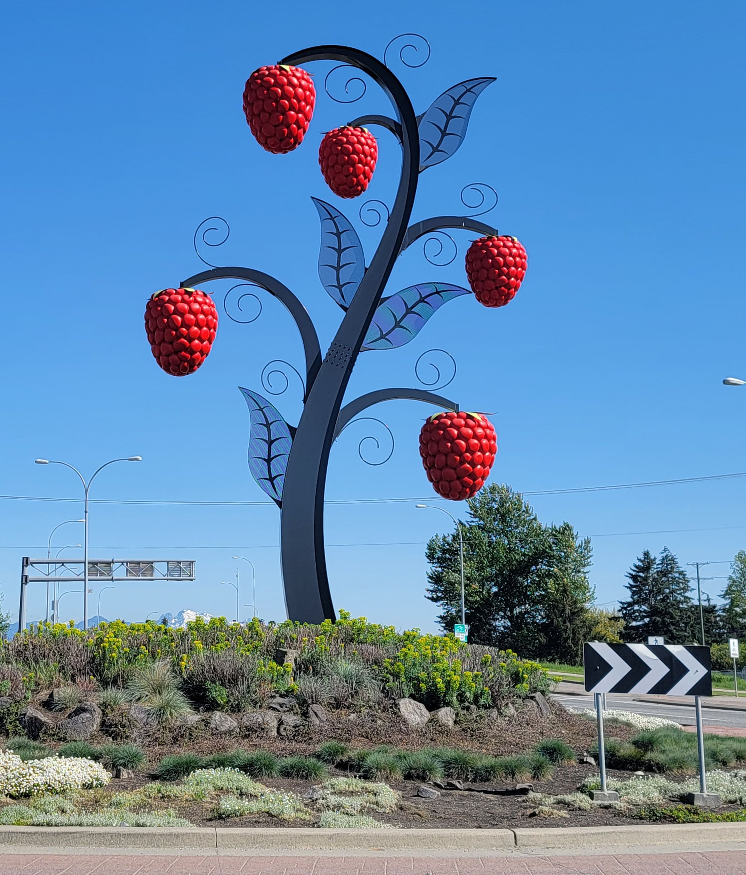 The giant Raspberries in the middle of a roundabout in Abbotsford.