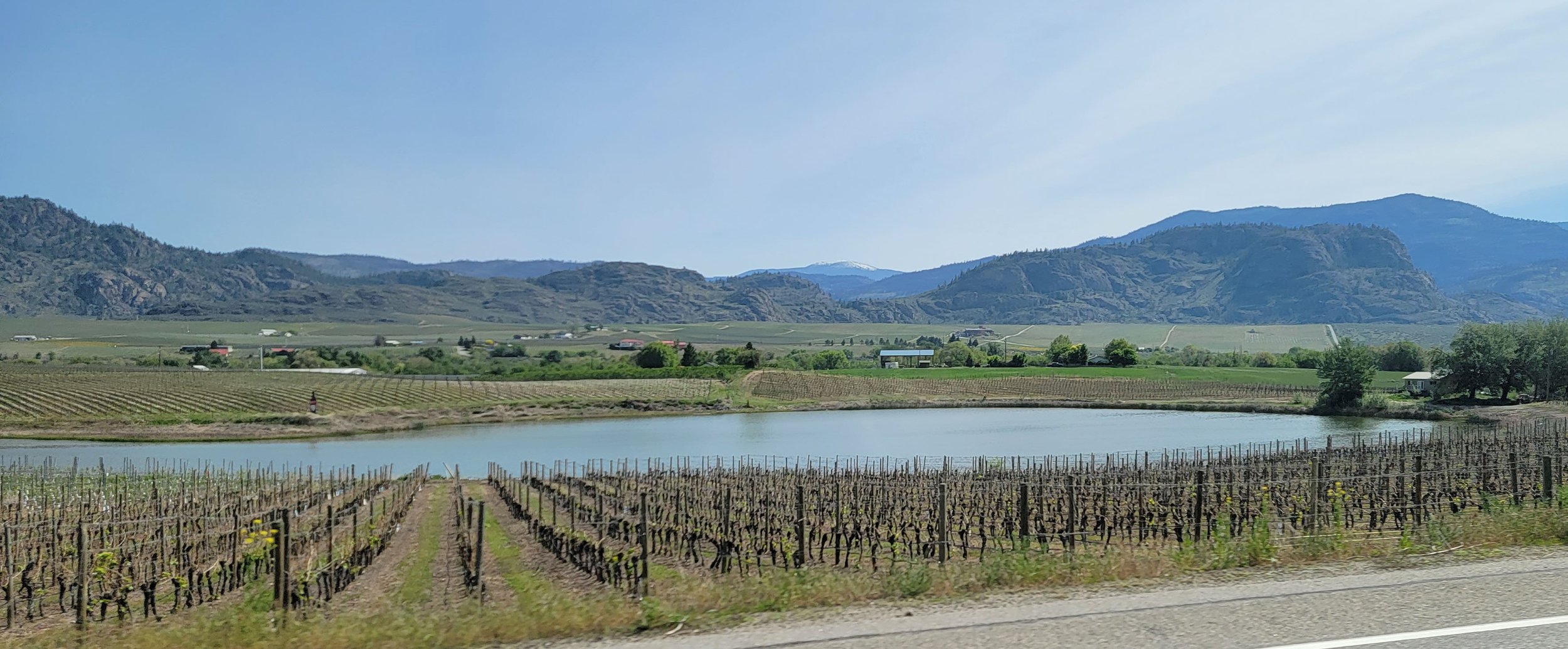 Most large roads are flanked with vineyards and orchards of all kinds.