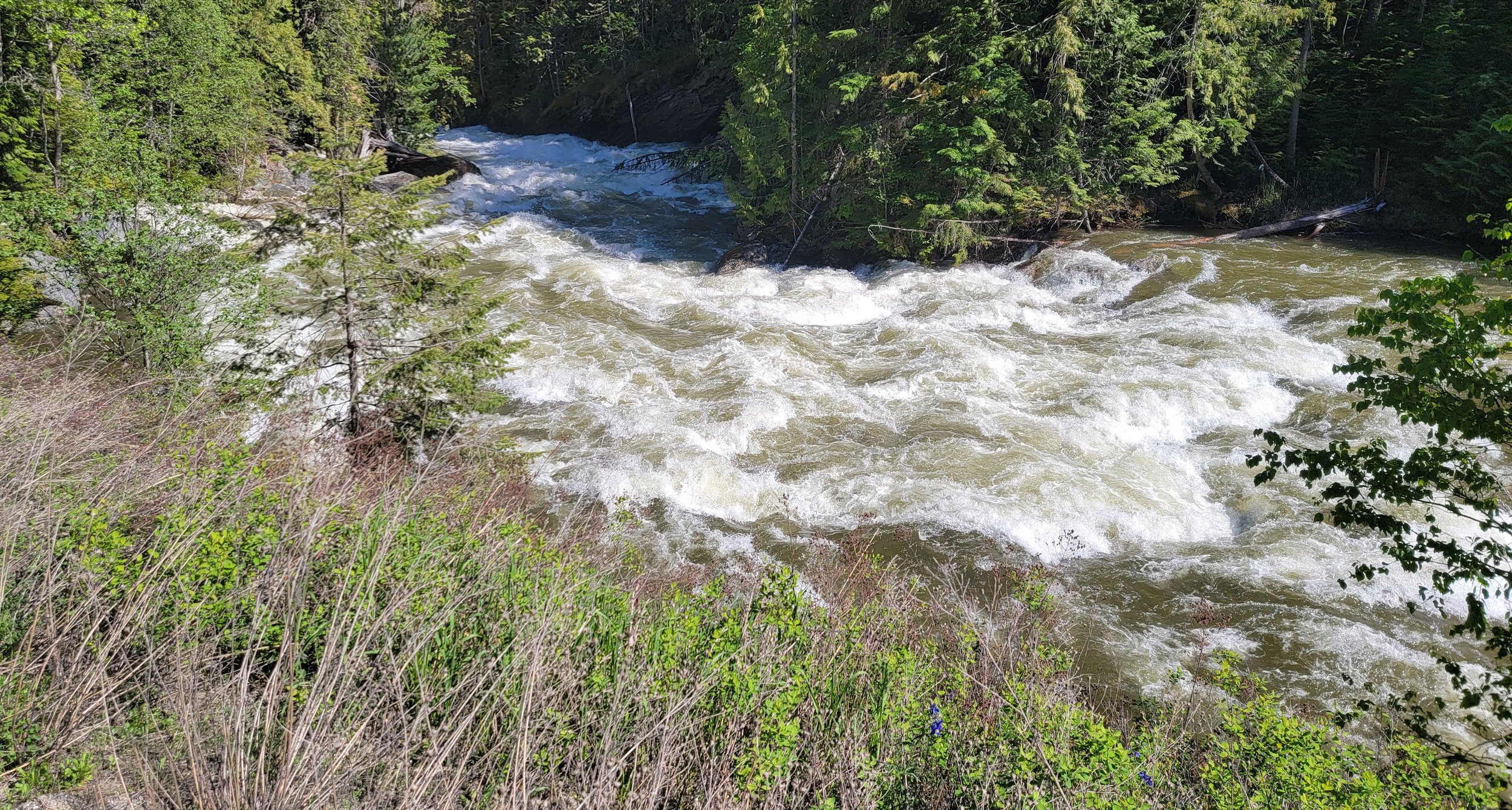 Hey look, a river.  Is this one called "Kootenay" river by chance? 