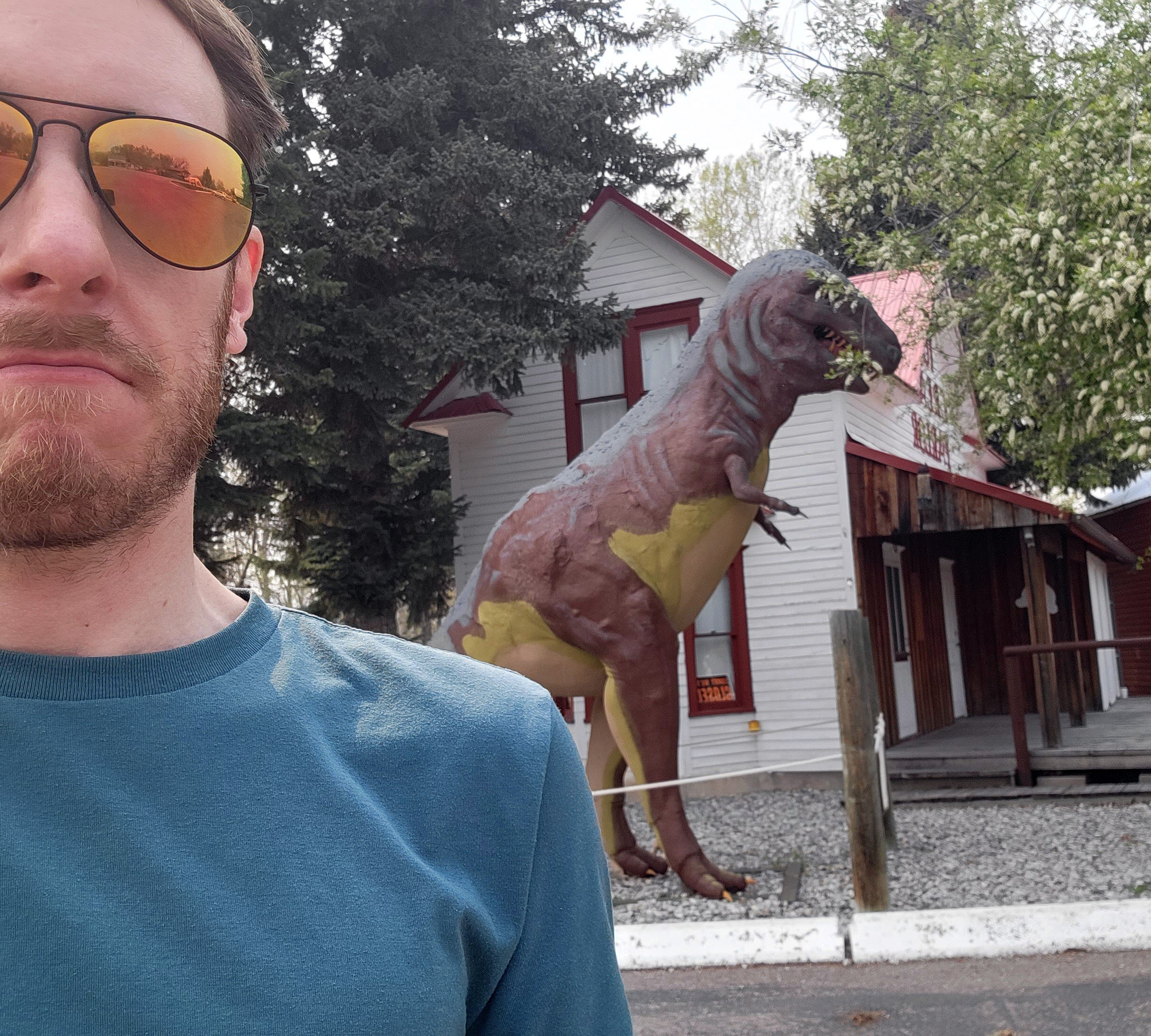 On the way south I randomly passed through this mix of Western + Dinosaur museum. 
