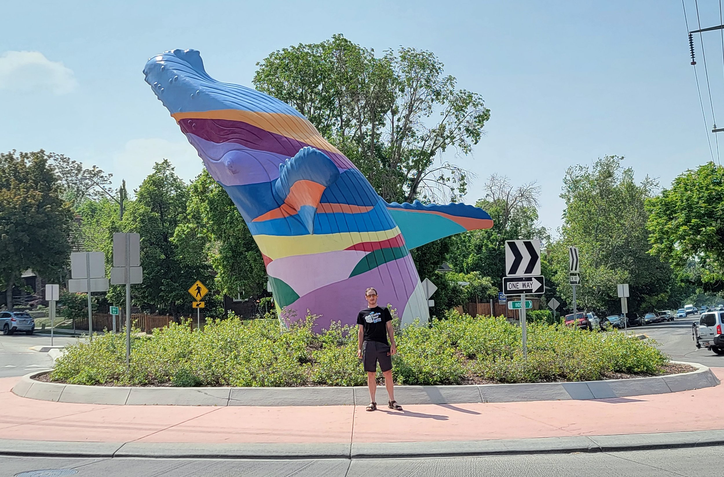 Really cool life-sized rainbow humpback whale at a traffic circle in Salt Lake City.