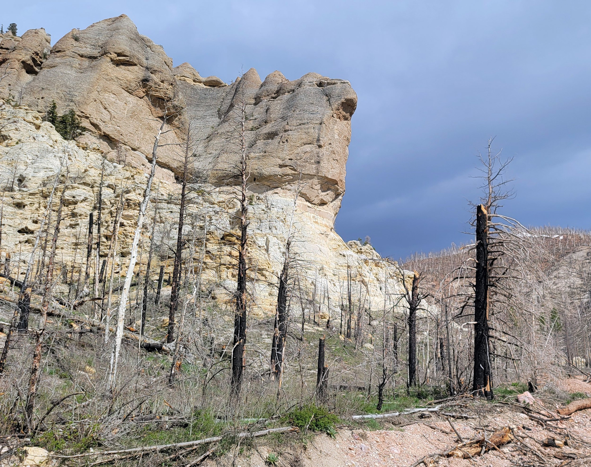 Burned out trees in front of the rocks. Almost every dry area on the continent has huge patches of burned forests.