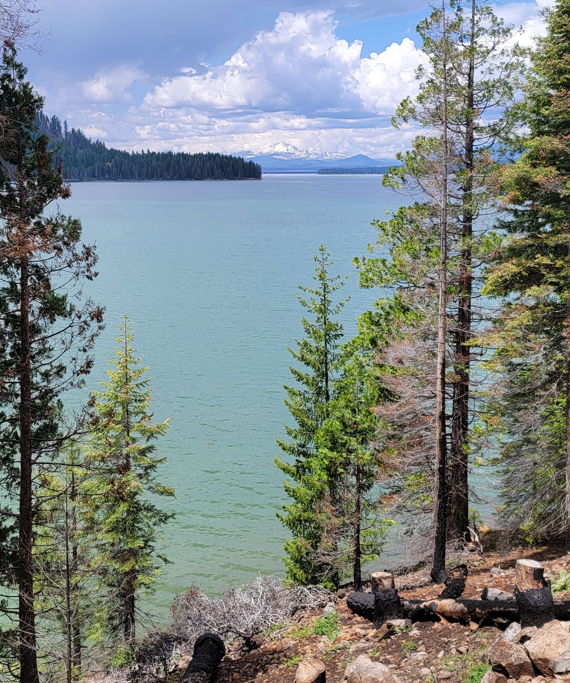 Lake Almanor, about 3 hours from Lake Tahoe. Got a little bit of Lake Louise vibes going on.