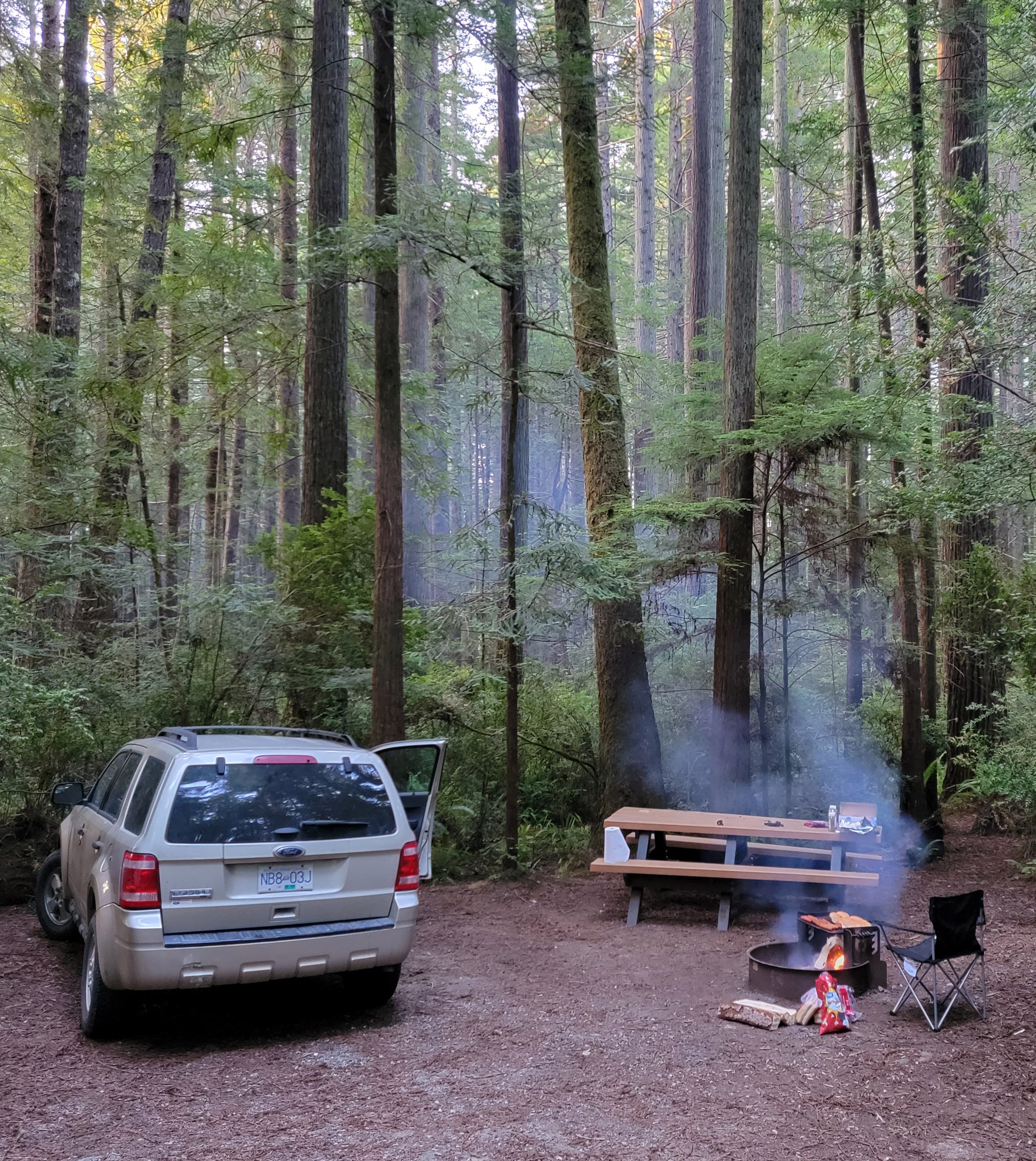 Decided to go camping in a small Redwood forest campground that night. Florence Keller Park, near Crescent City.