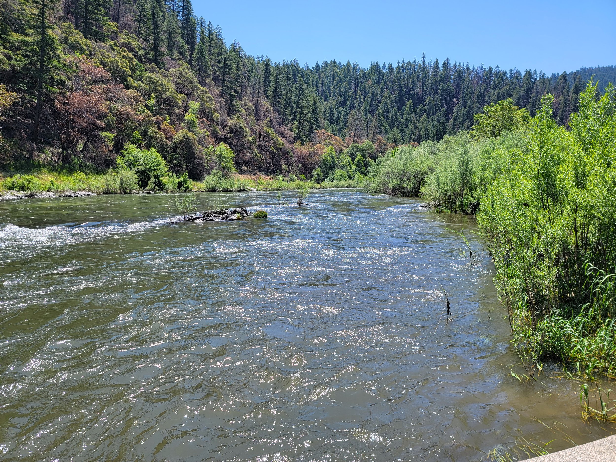  The pass gets you down to the small “town” of Galice, which is also on the Rogue River. Tons of trucks just bring rafts up the river through the pass. Very sketchy. 