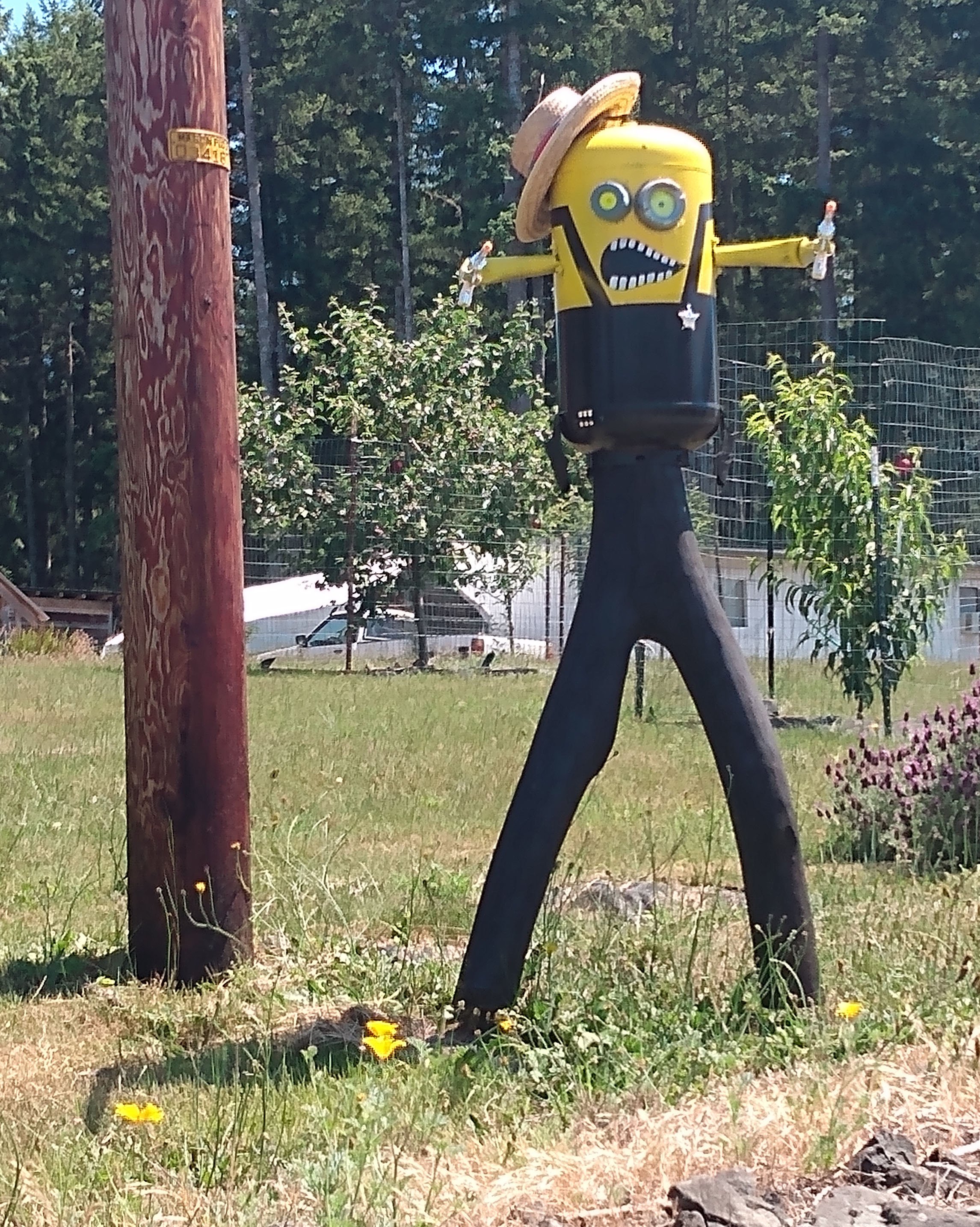  I’ve seen them all over North America. Minions are truly the grand unifier of the western world.  