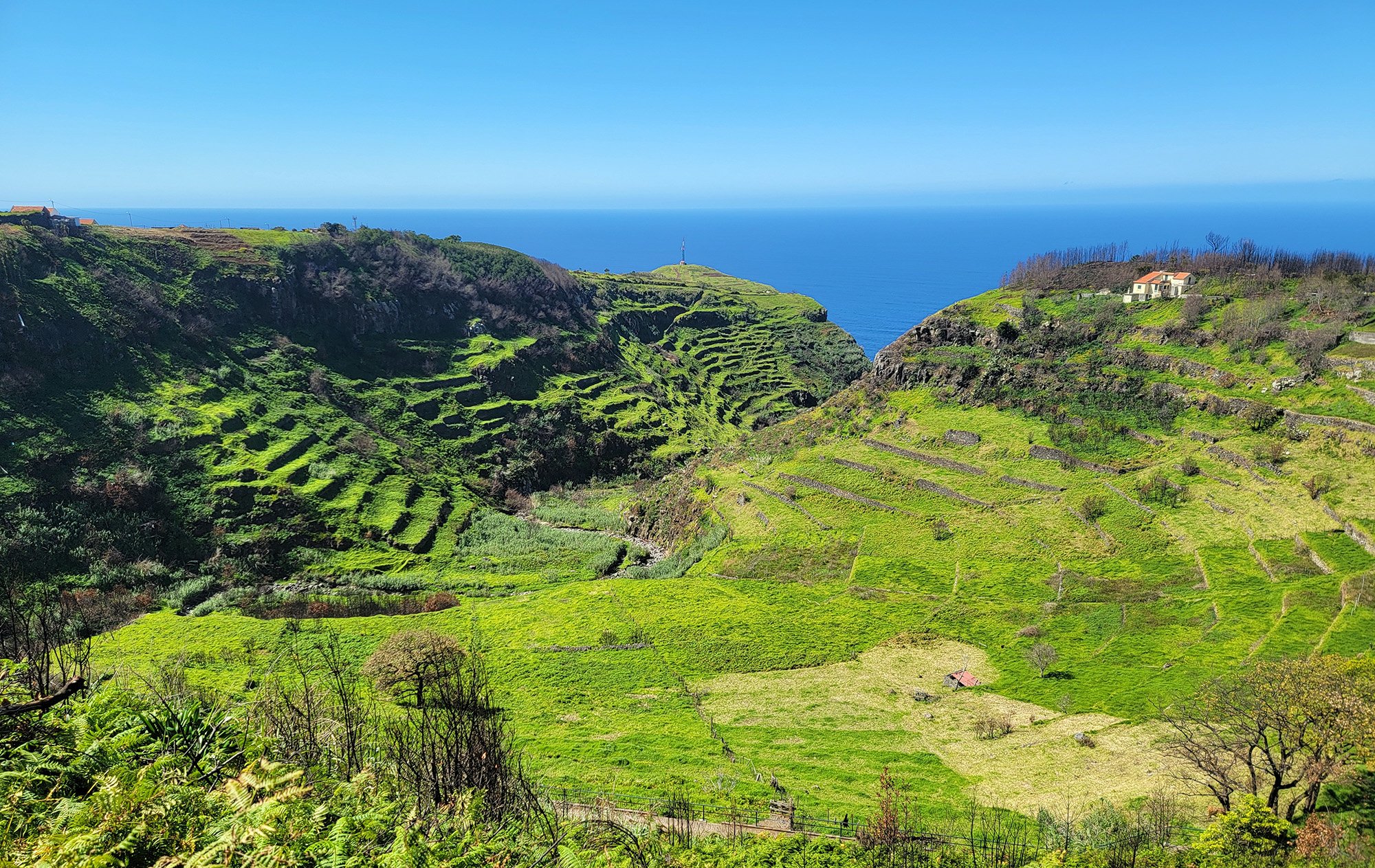 From Calheta you can finally escape the tunnel system and snake your way up the cliffs back towards the city. There's these beautiful terrace farms everywhere inland.