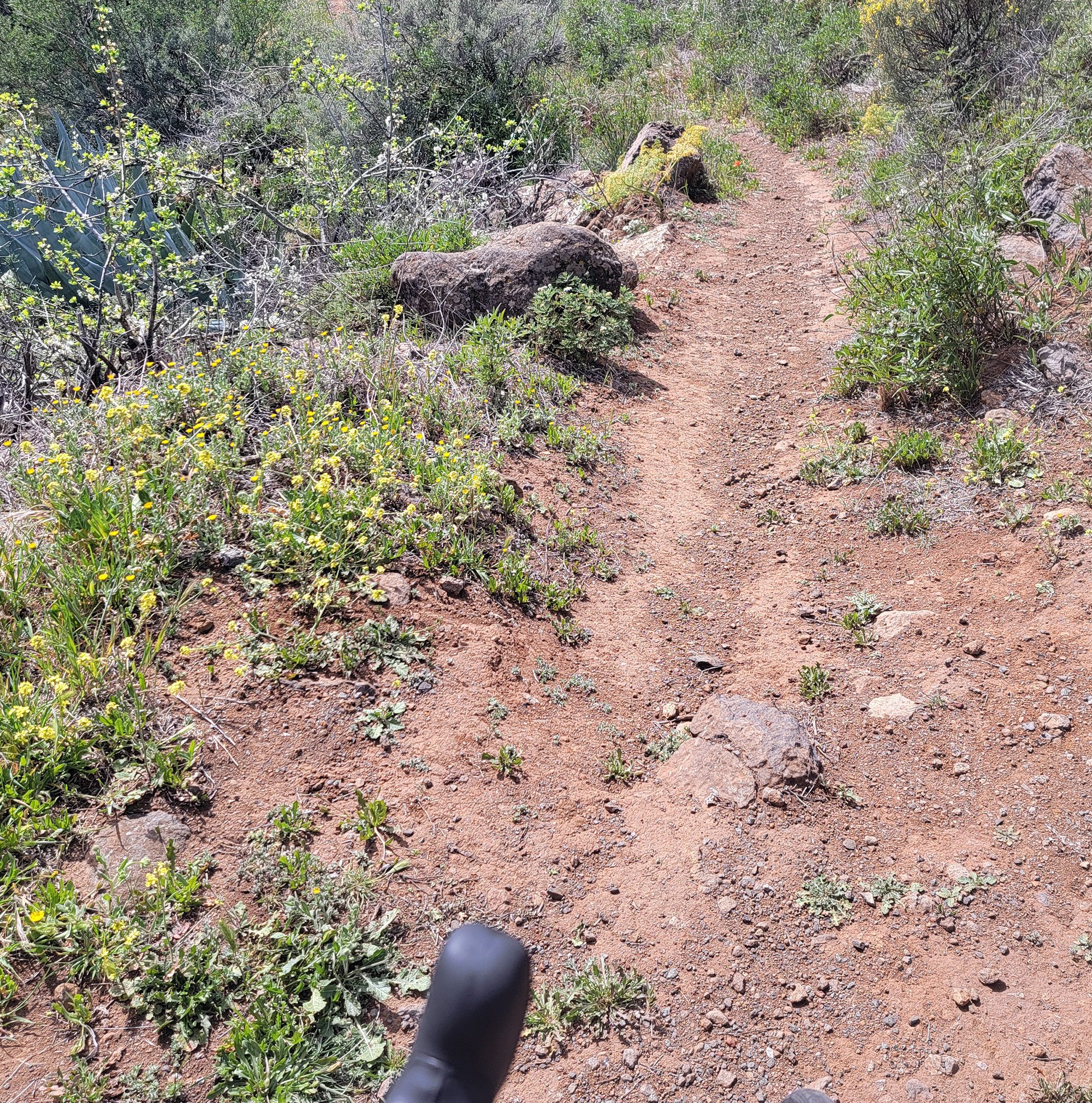 "Shortcut" road I wanted to check out going down. "Unpaved" can mean a lot of things for Strava. This is like a donkey trail or something, I'm not going on that.