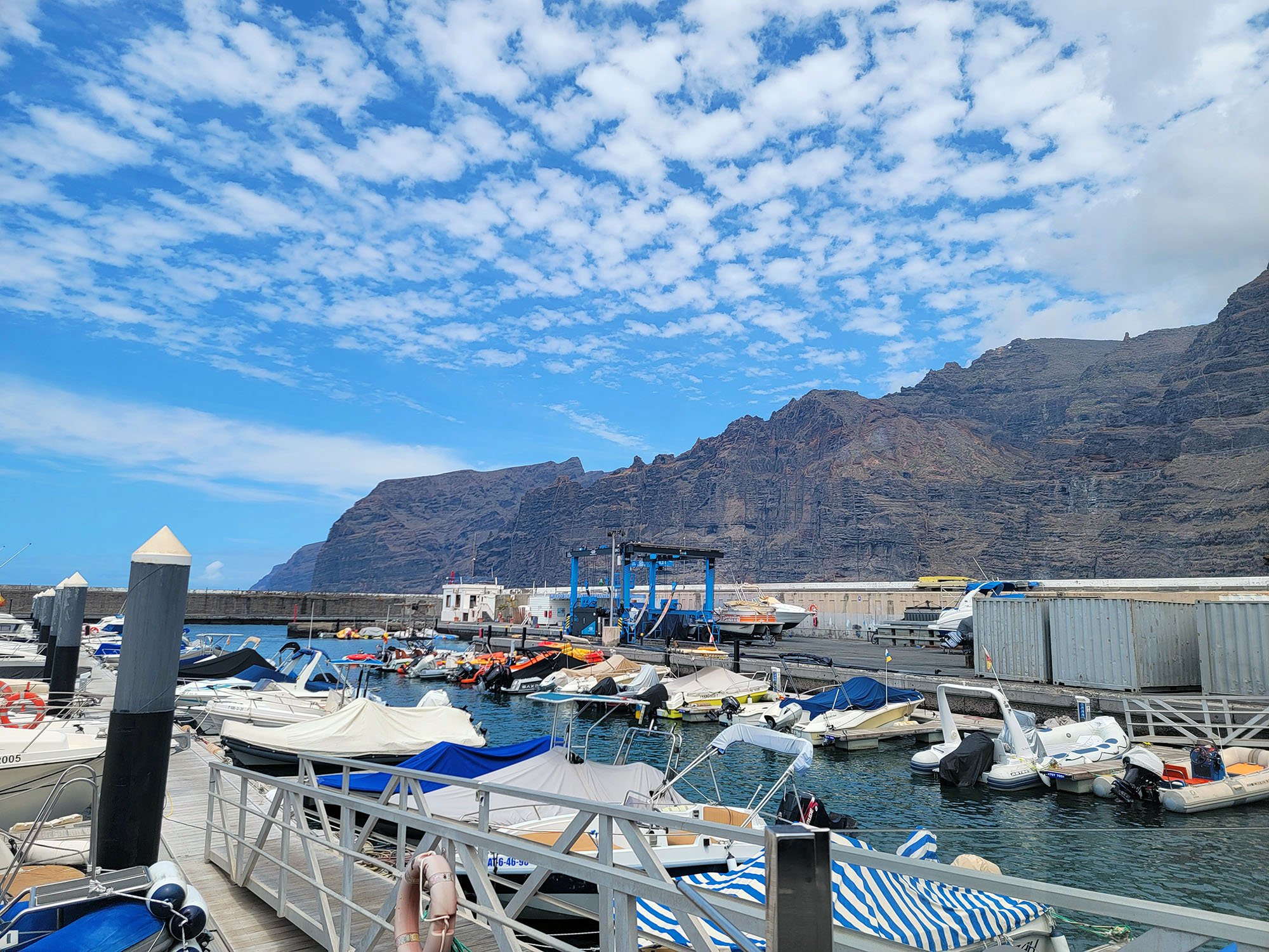 Unfortunately you can't get that good a view of the cliffs from the harbor because there's a bunch of walls and crap in the way. You have to take the boat excursions. They have whales!