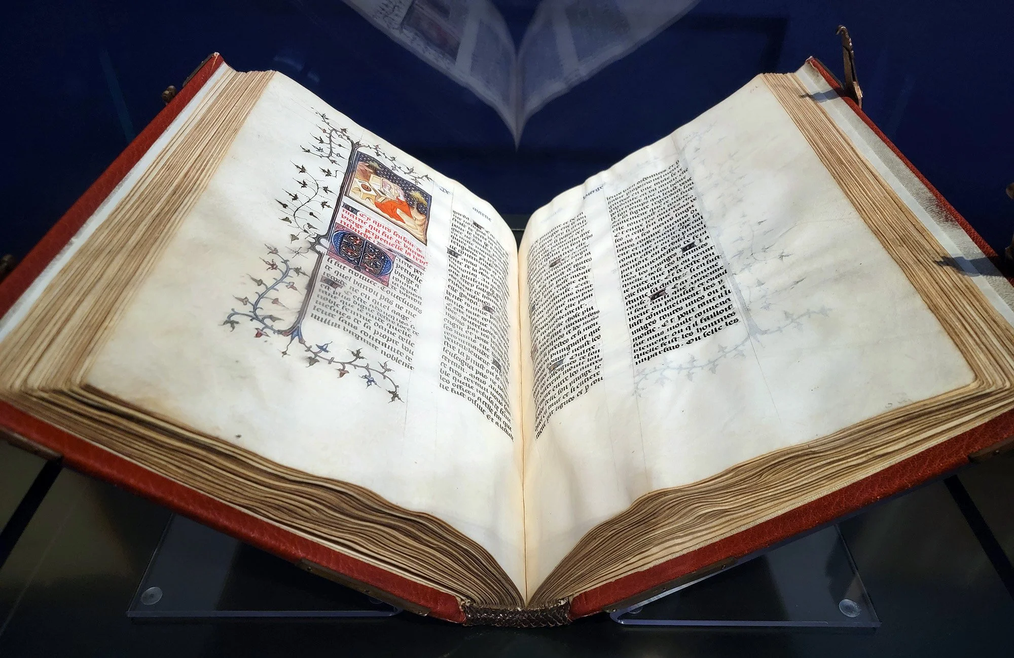 A few manuscripts. Shame you can only see 2 pages of these at once. Those books are so interesting.