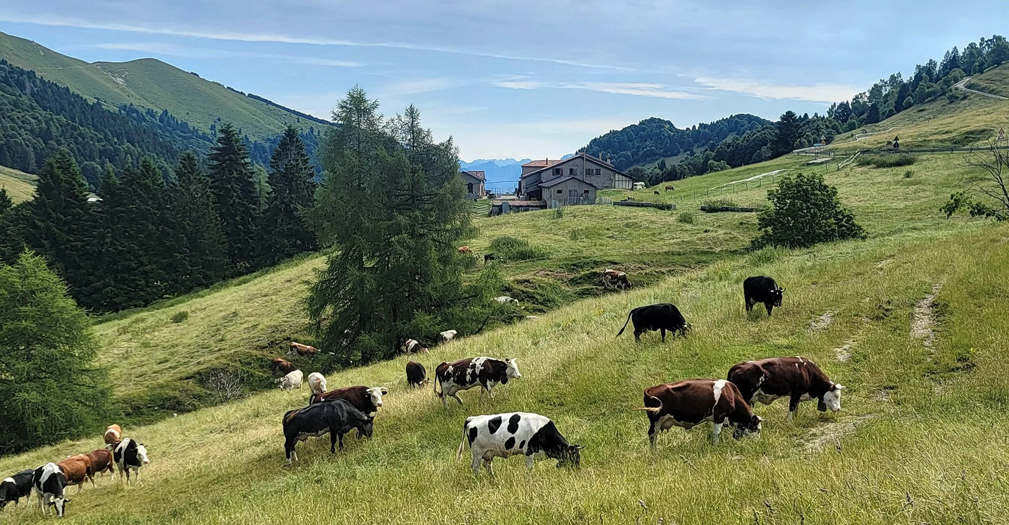 All these alpine plateaus seem to have livestock grazing and making that expensive eurocheese