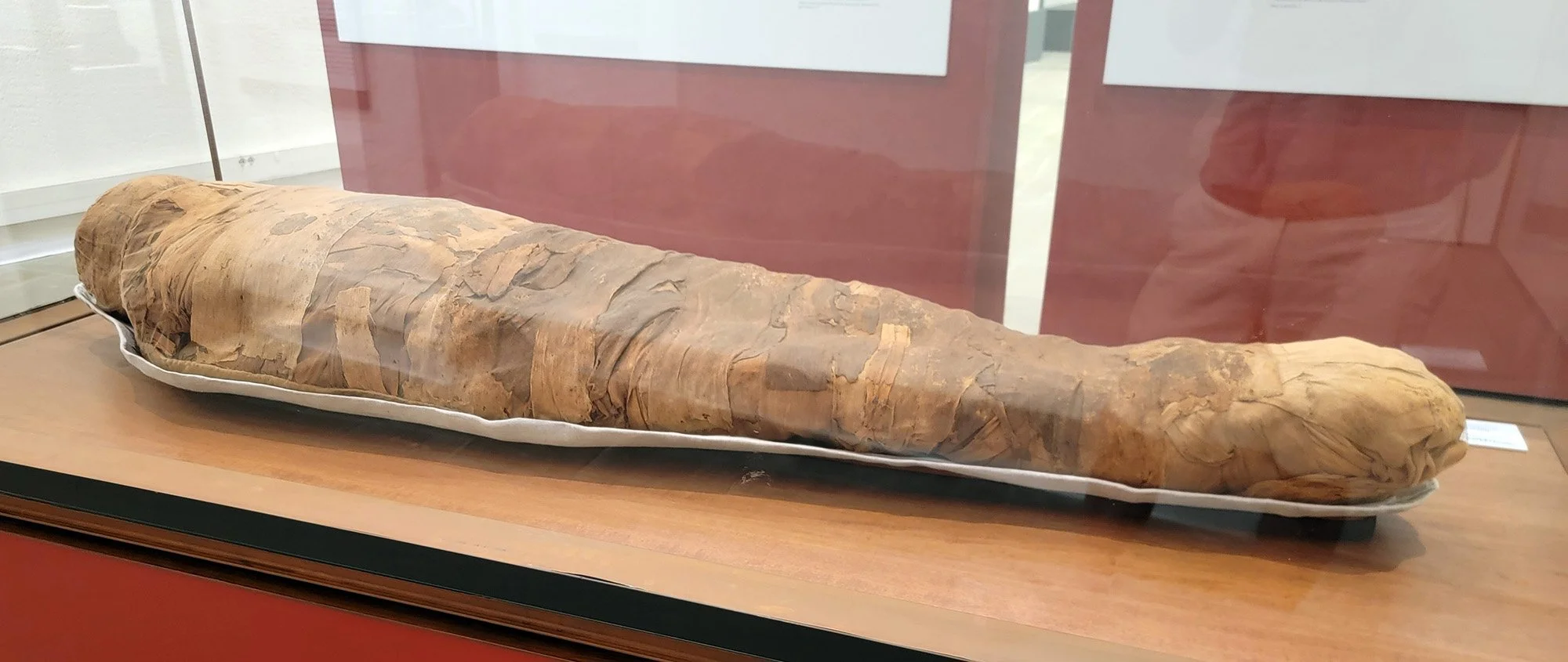 With an actual mummy that was donated to them from one of the 19th century looters