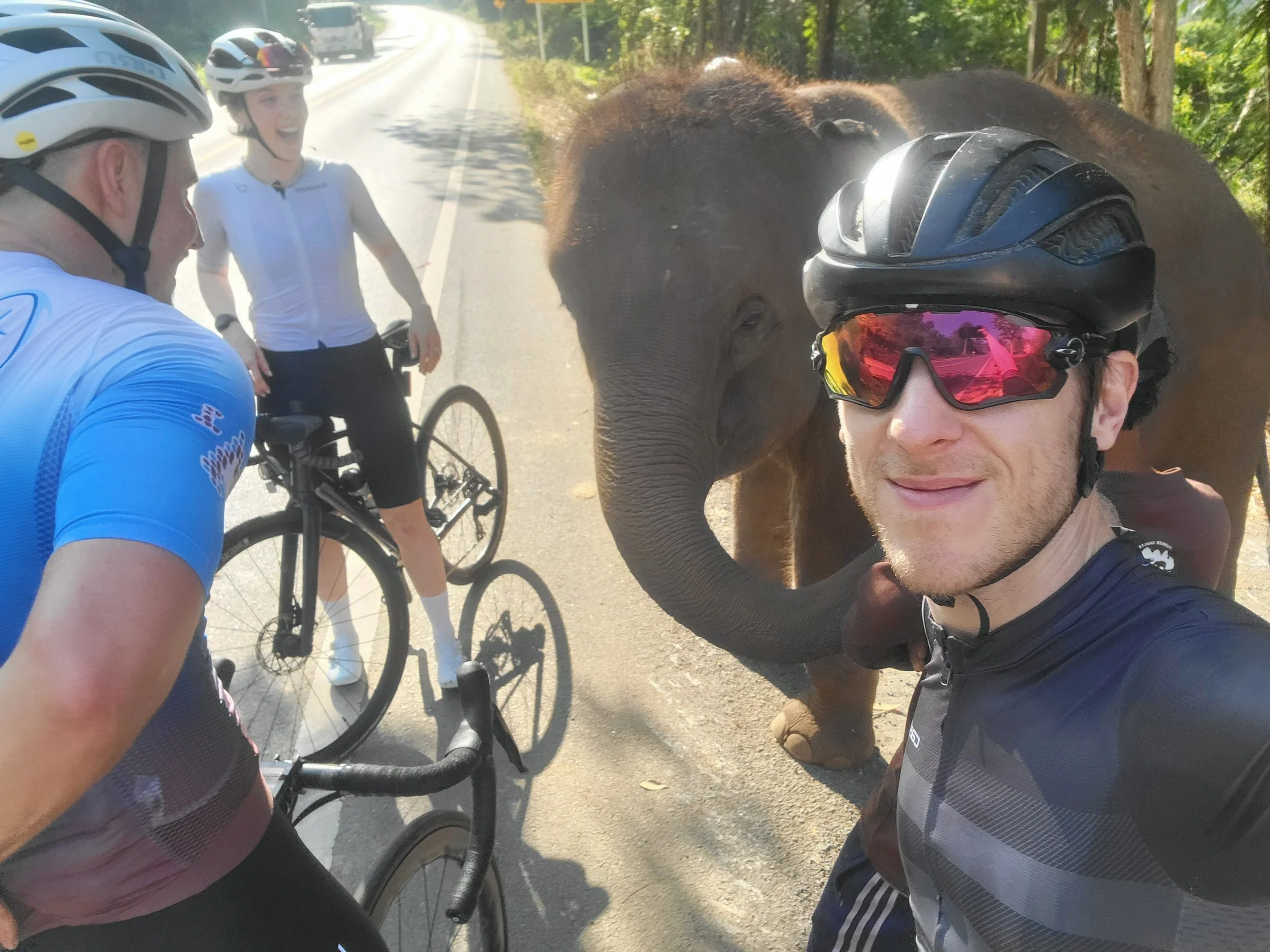 Samoeng Loop Elephant Camp