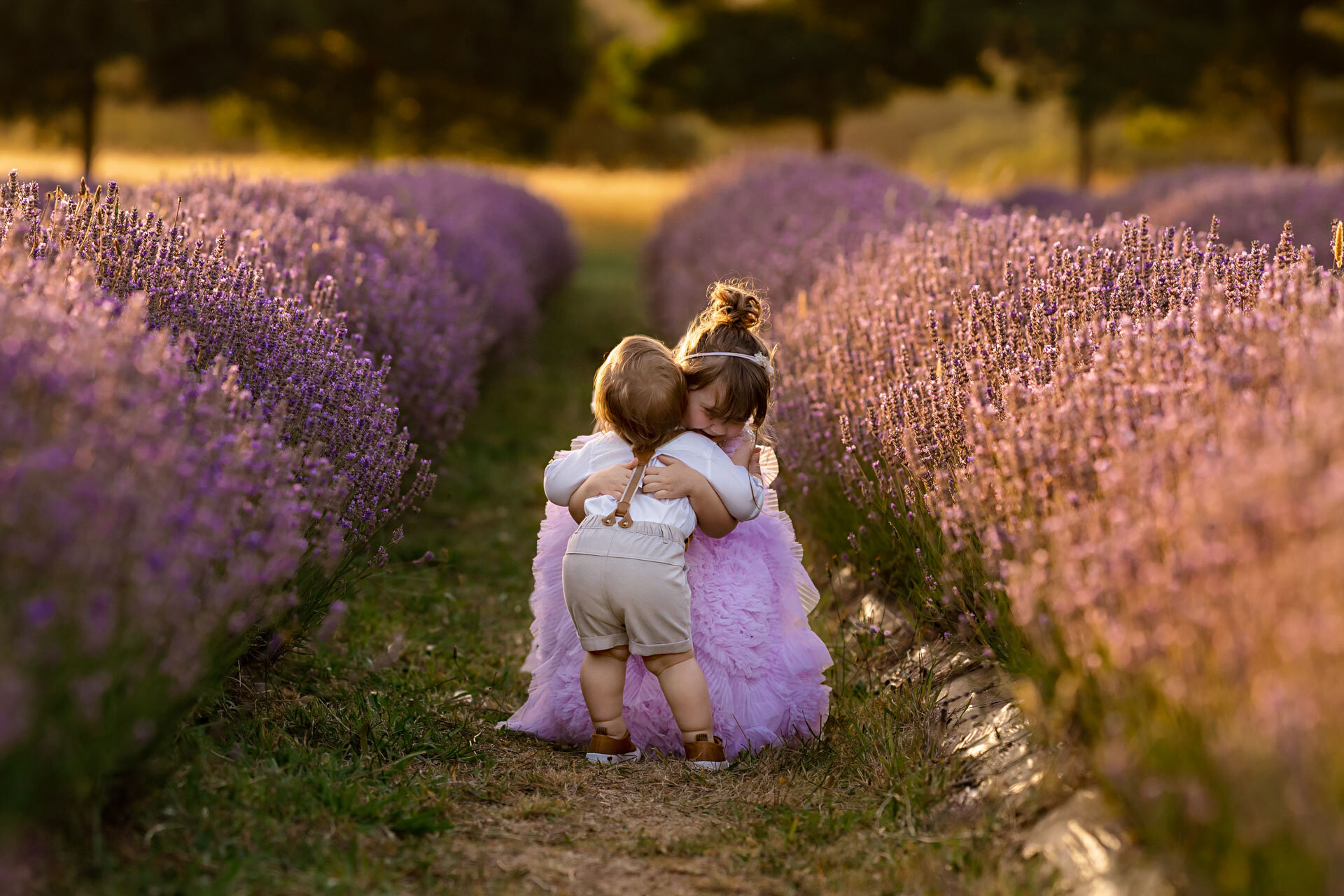 Children's Photographer Red Hill Lavender Farm
