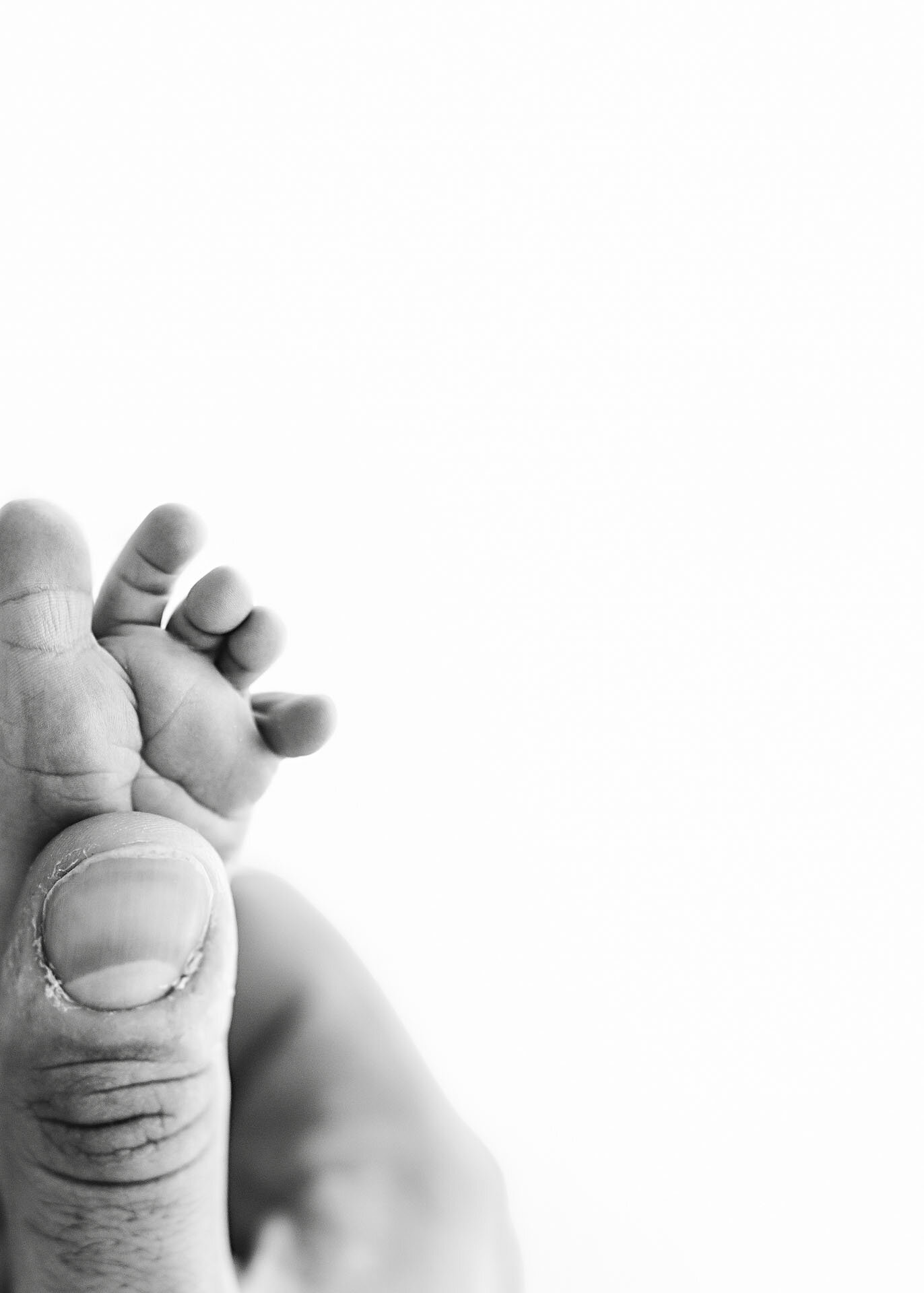 Newborn Photographer Melbourne
