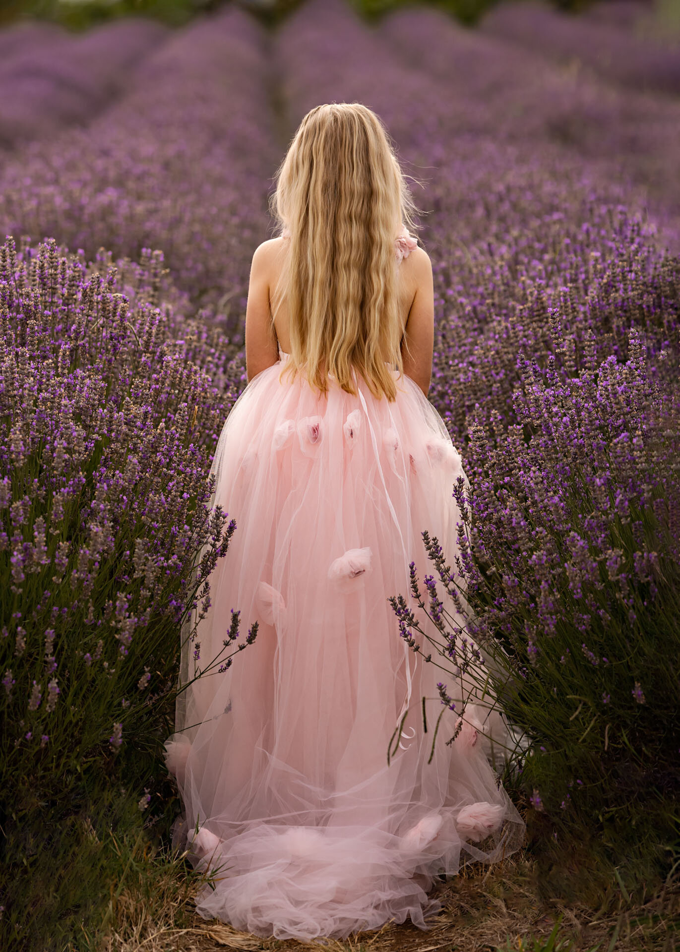 Children's Photographer Red Hill Lavender Farm