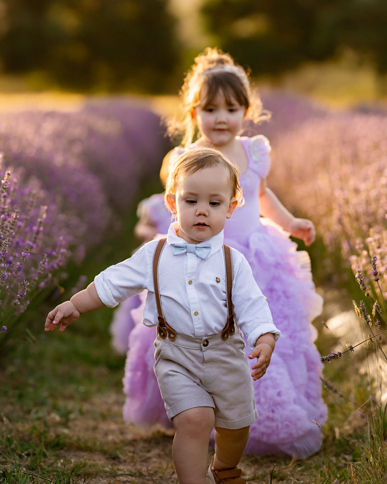 Children's Photographer Red Hill Lavender Farm