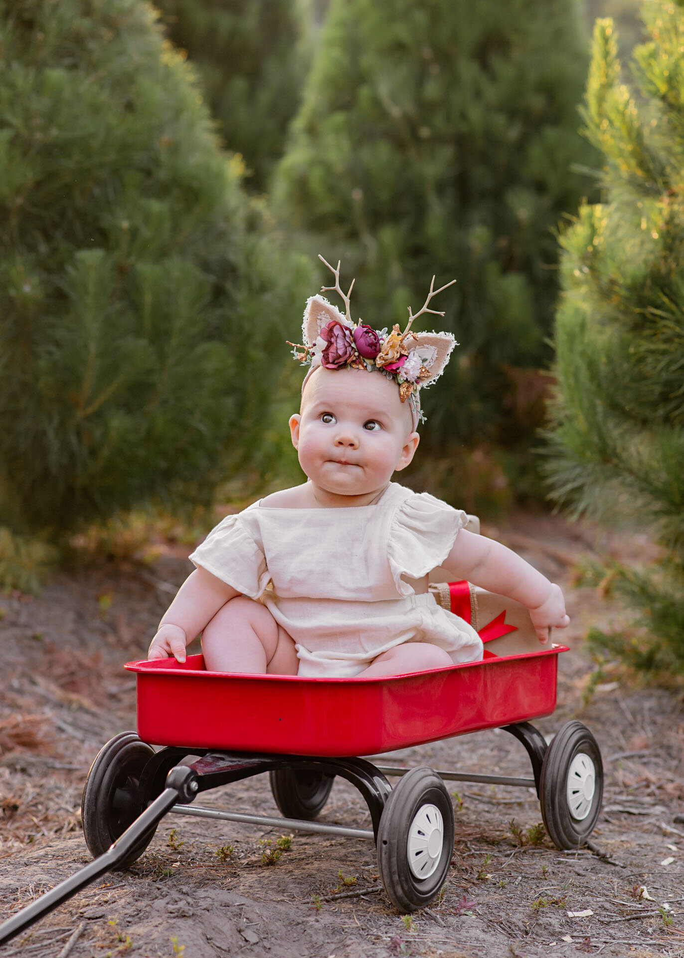 Melbourne Children's Photographer