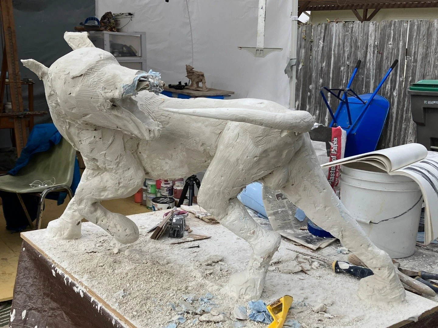 image_6483441 (2).JPG