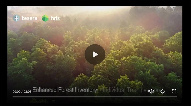 Aerial view of a dense green forest with sunlight filtering through mist, featuring logos of Tesera and HRIS in the upper left corner.