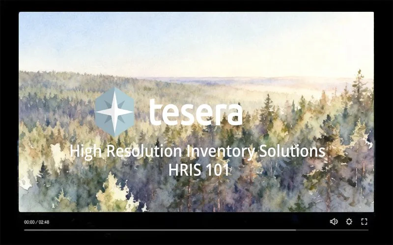 Watercolor painting of a forest with trees extending into the horizon, overlayed with text about 'tesera' and inventory solutions.
